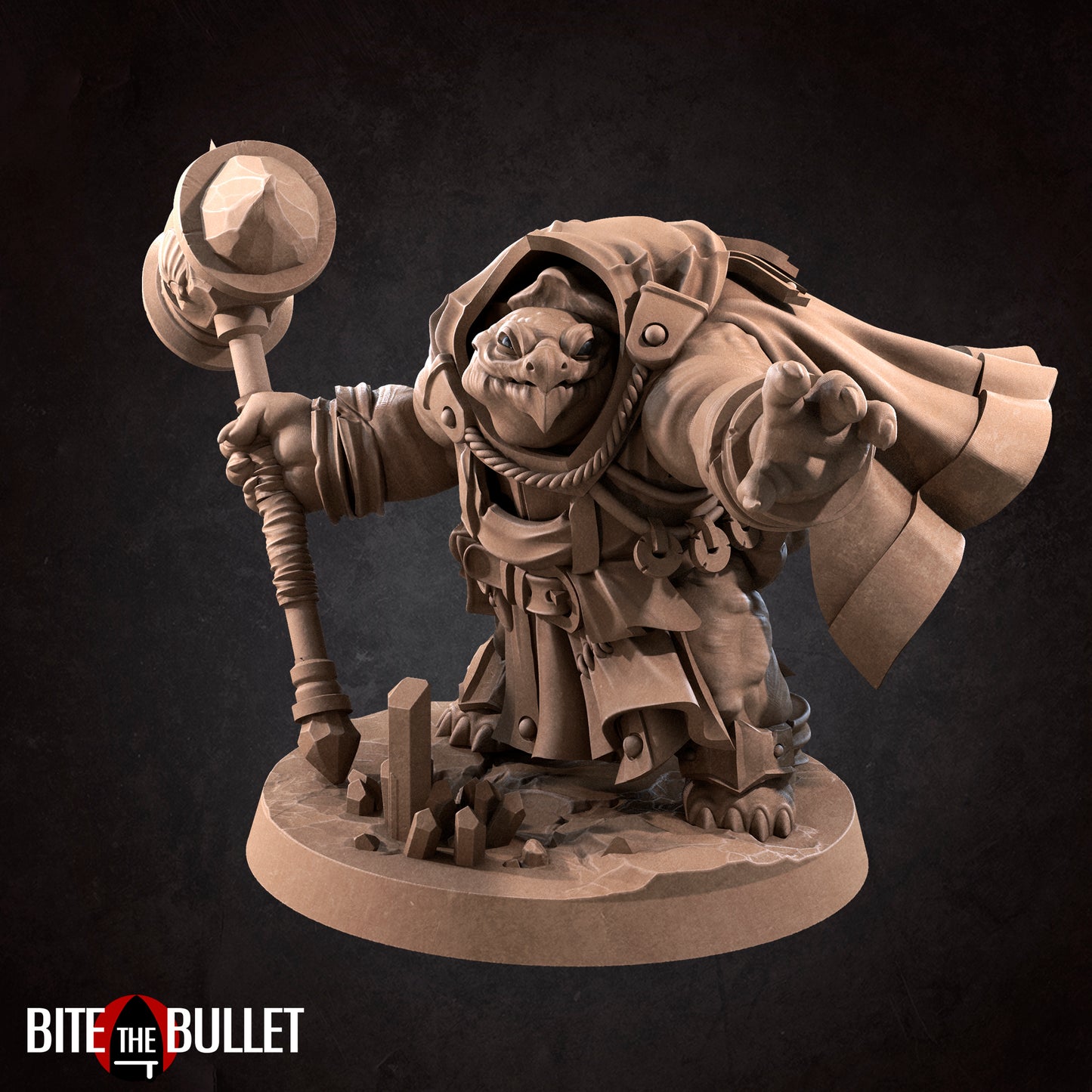 Tortle Cleric