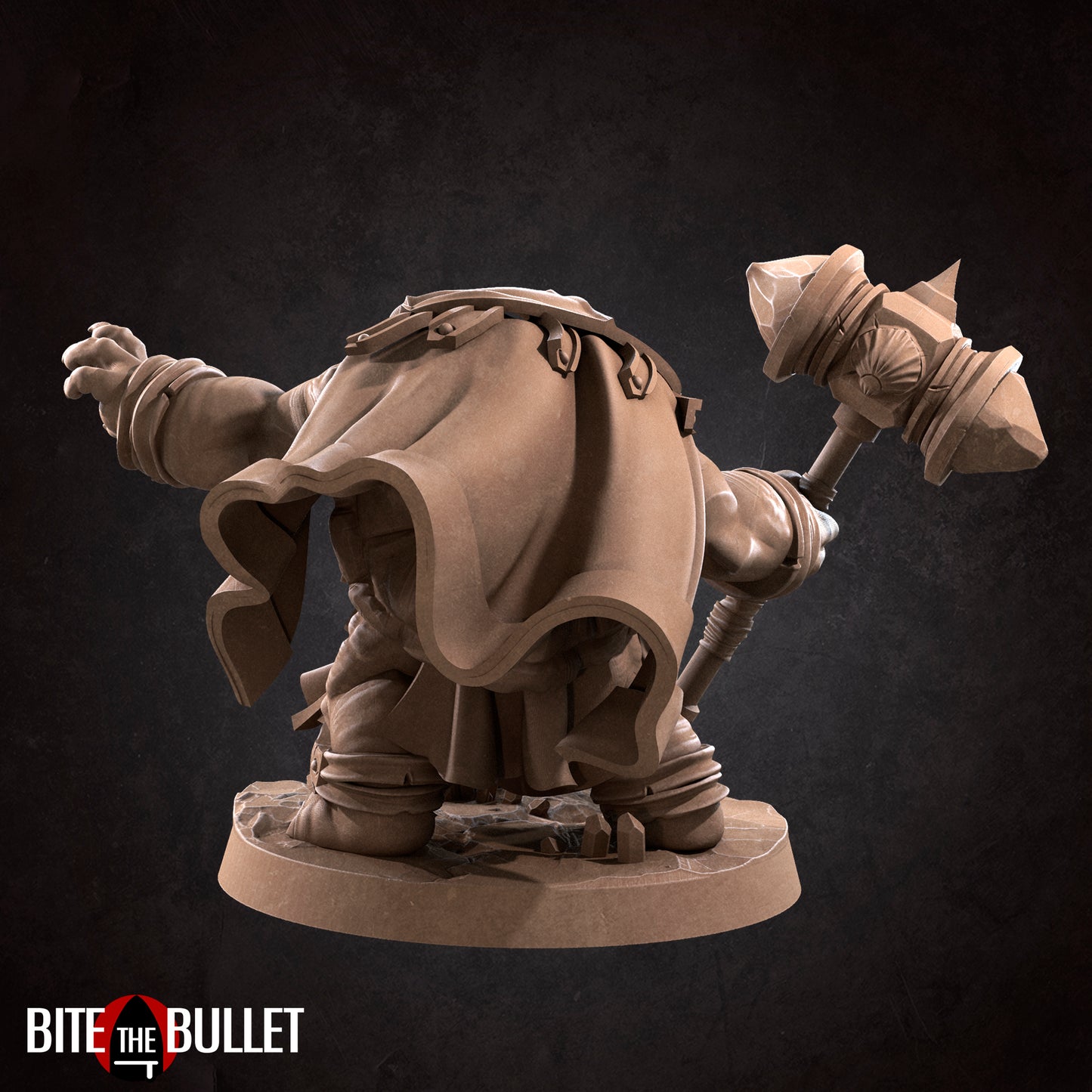 Tortle Cleric