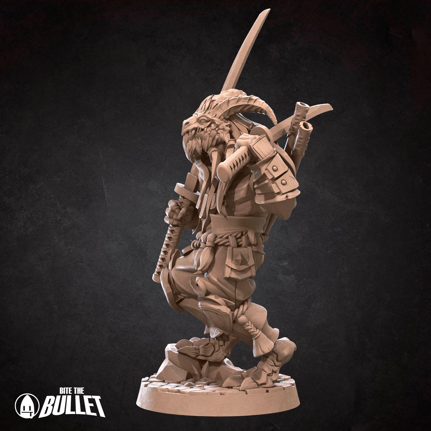 Dragonborn Monk