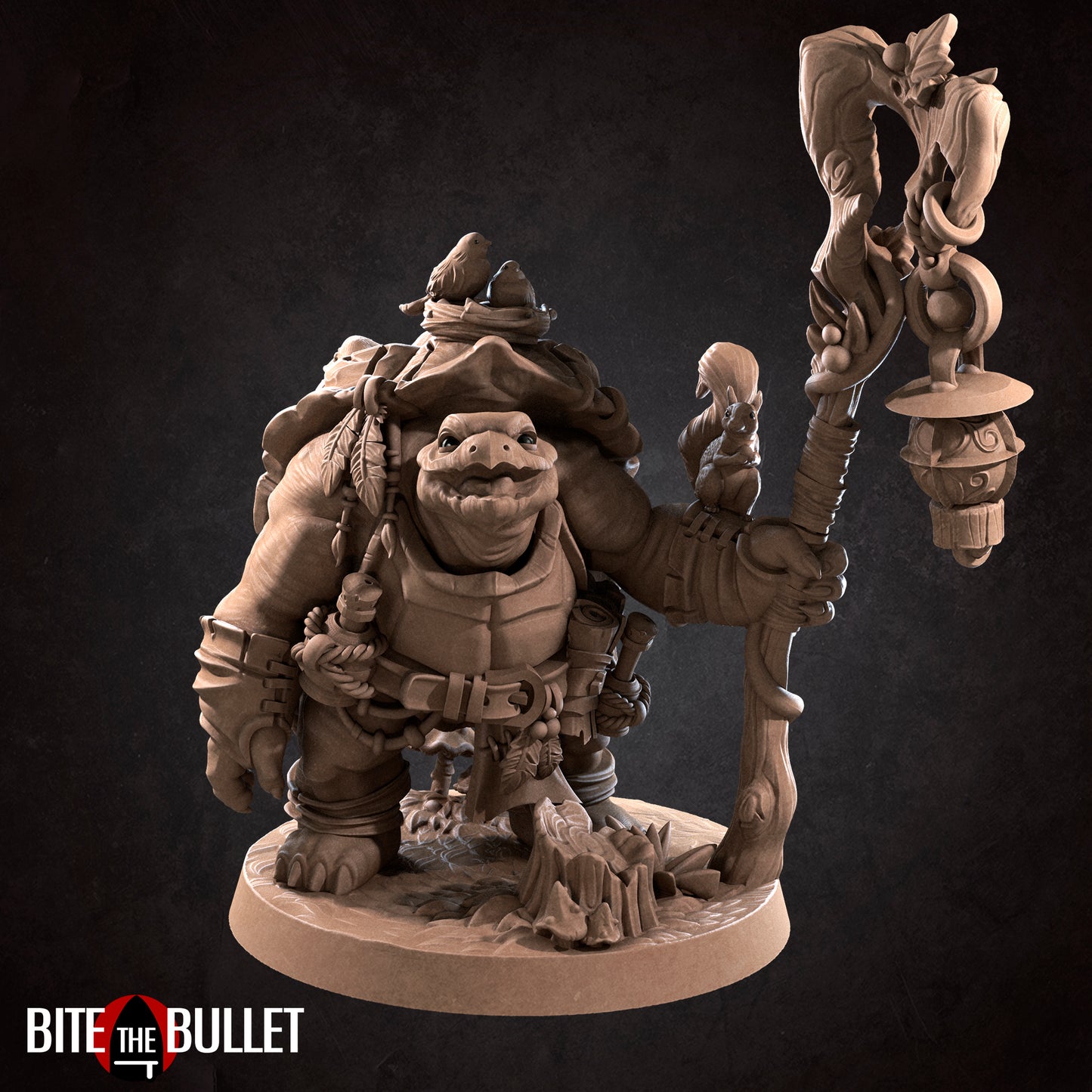 Tortle Druid