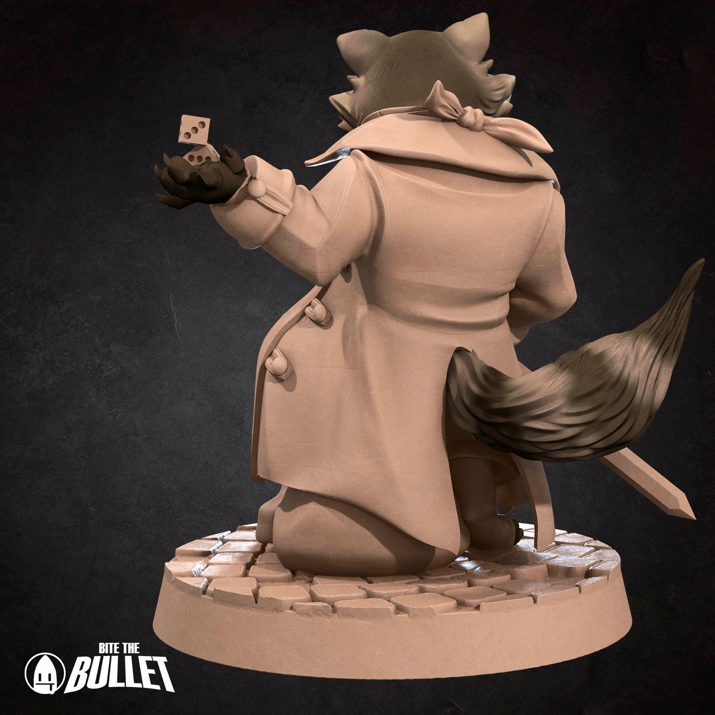 Raccoonfolk Thief