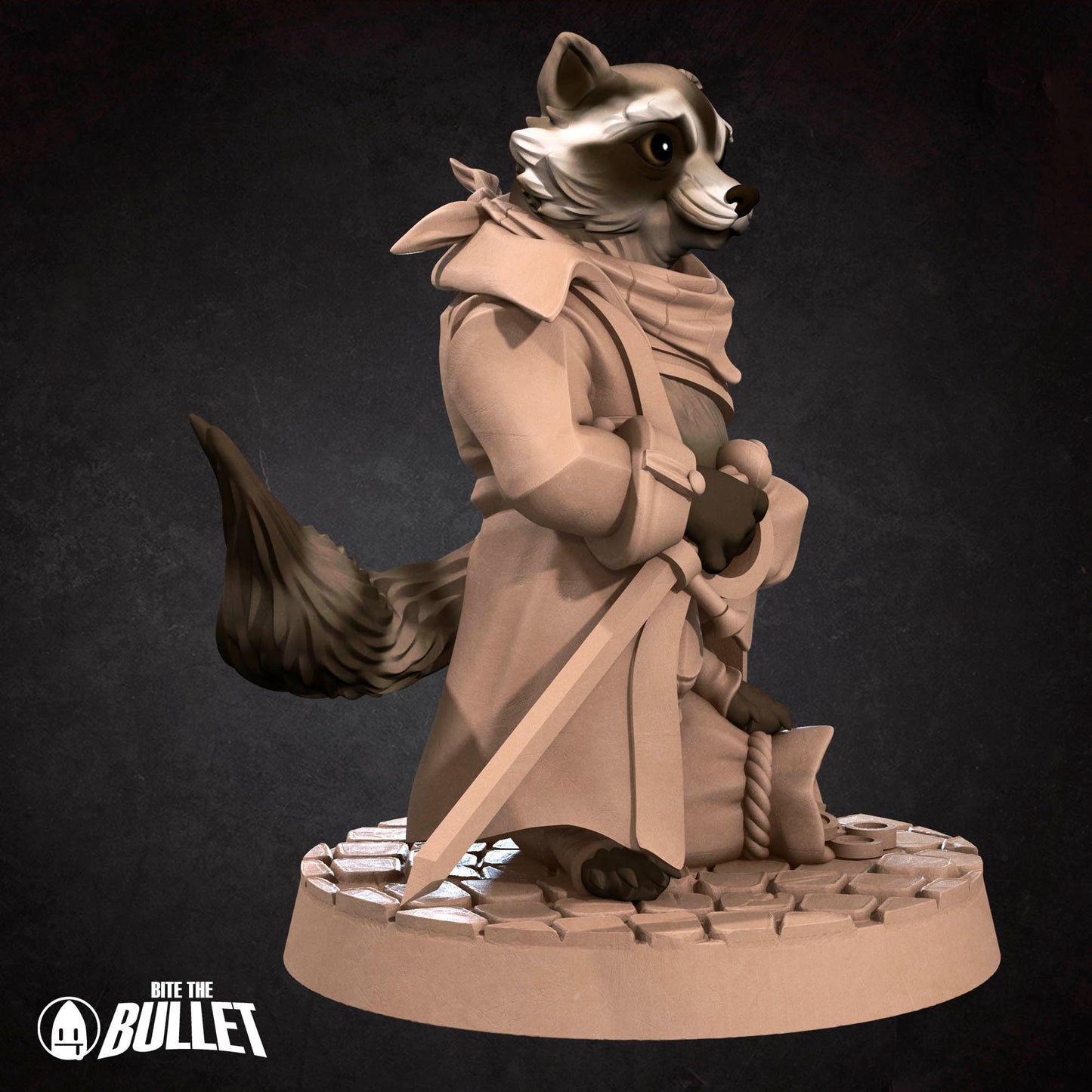 Raccoonfolk Thief