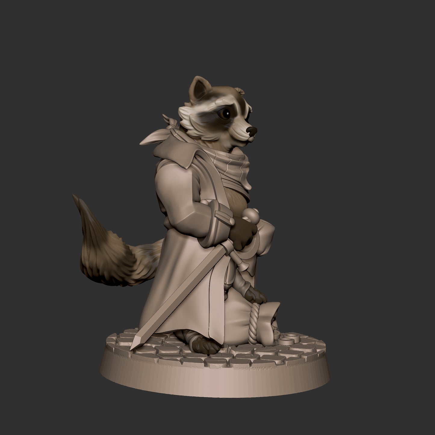 Raccoonfolk Thief