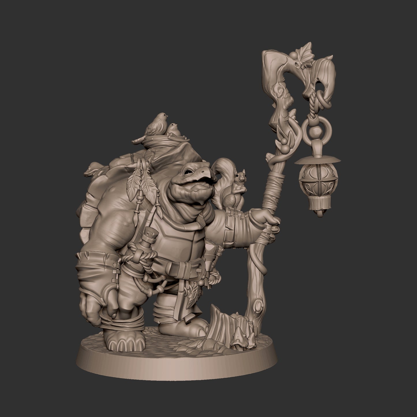 Tortle Druid