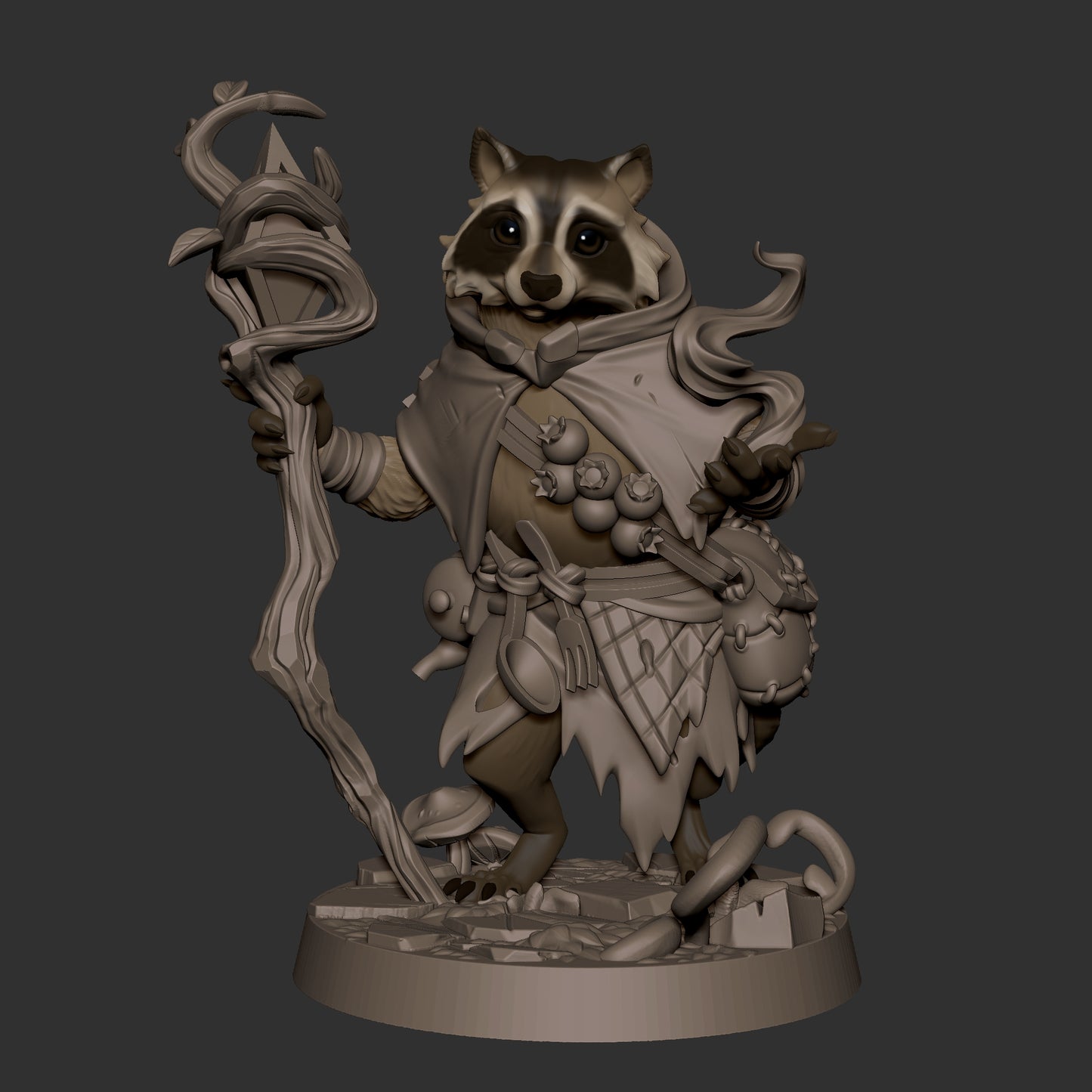 Raccoonfolk Druid