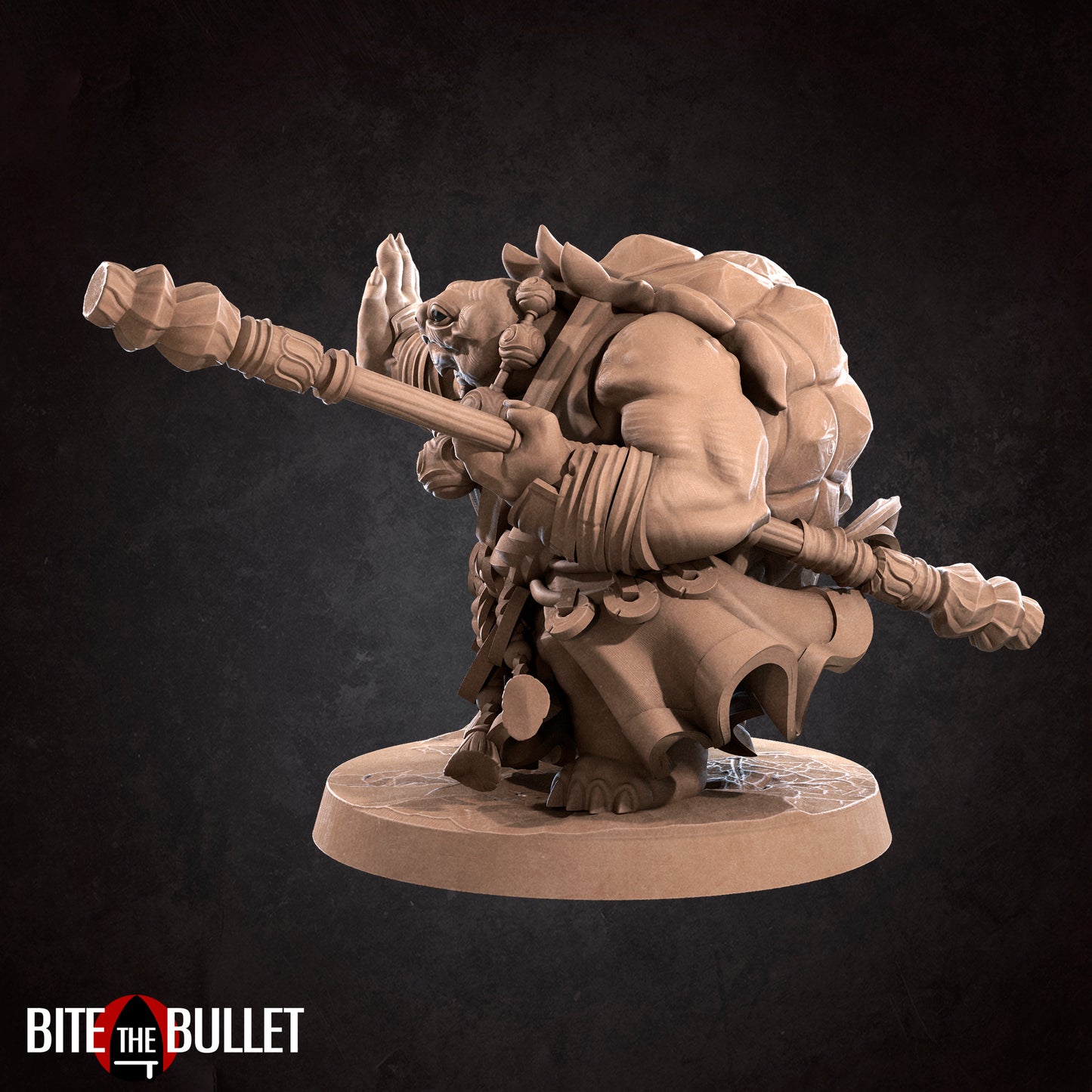 Tortle Monk