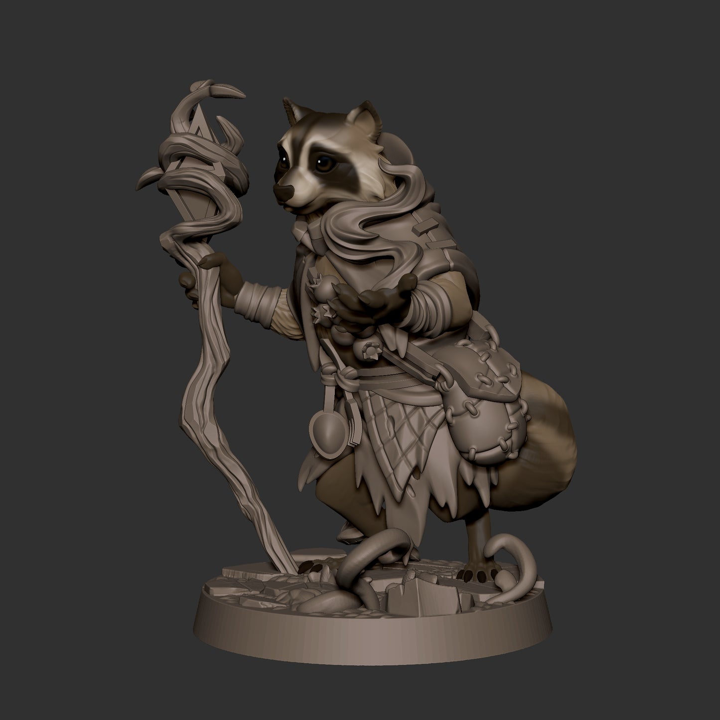 Raccoonfolk Druid