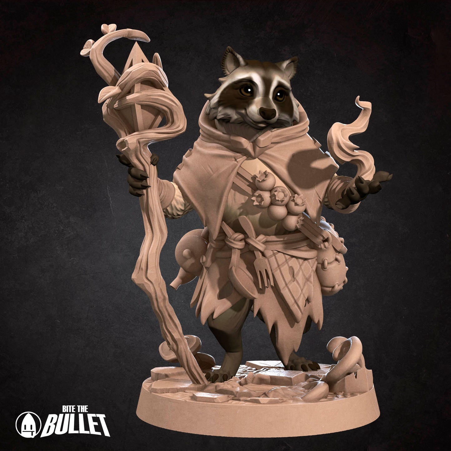 Raccoonfolk Druid