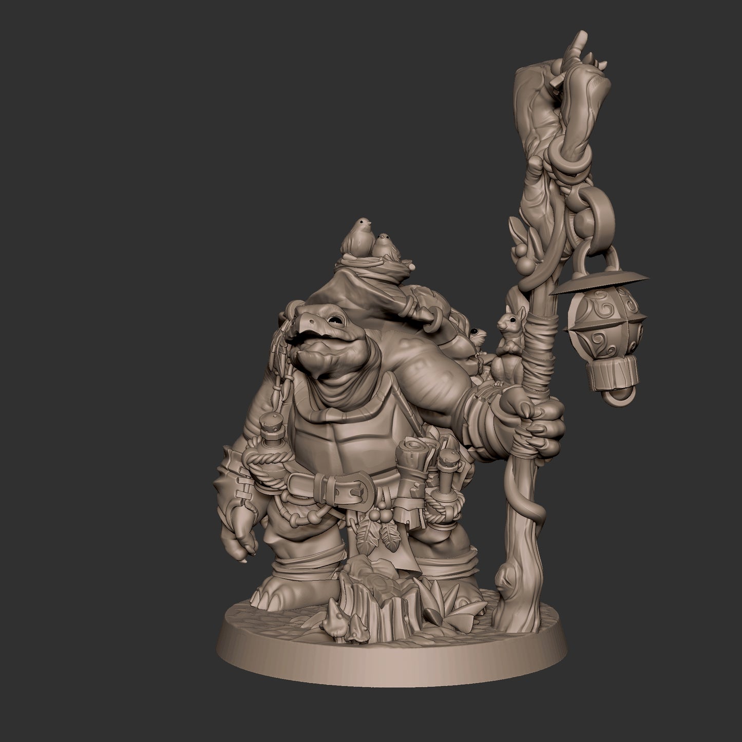 Tortle Druid