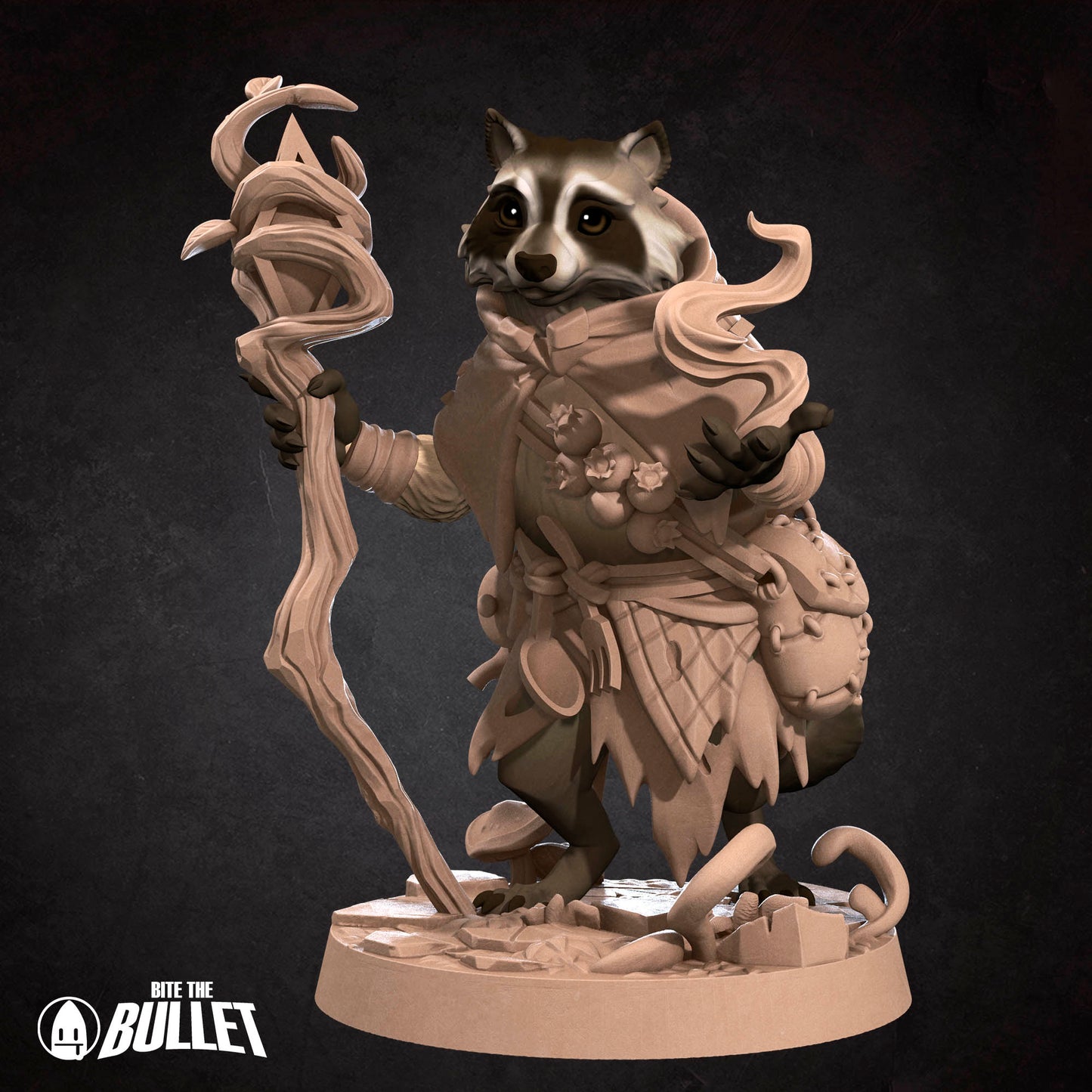 Raccoonfolk Druid