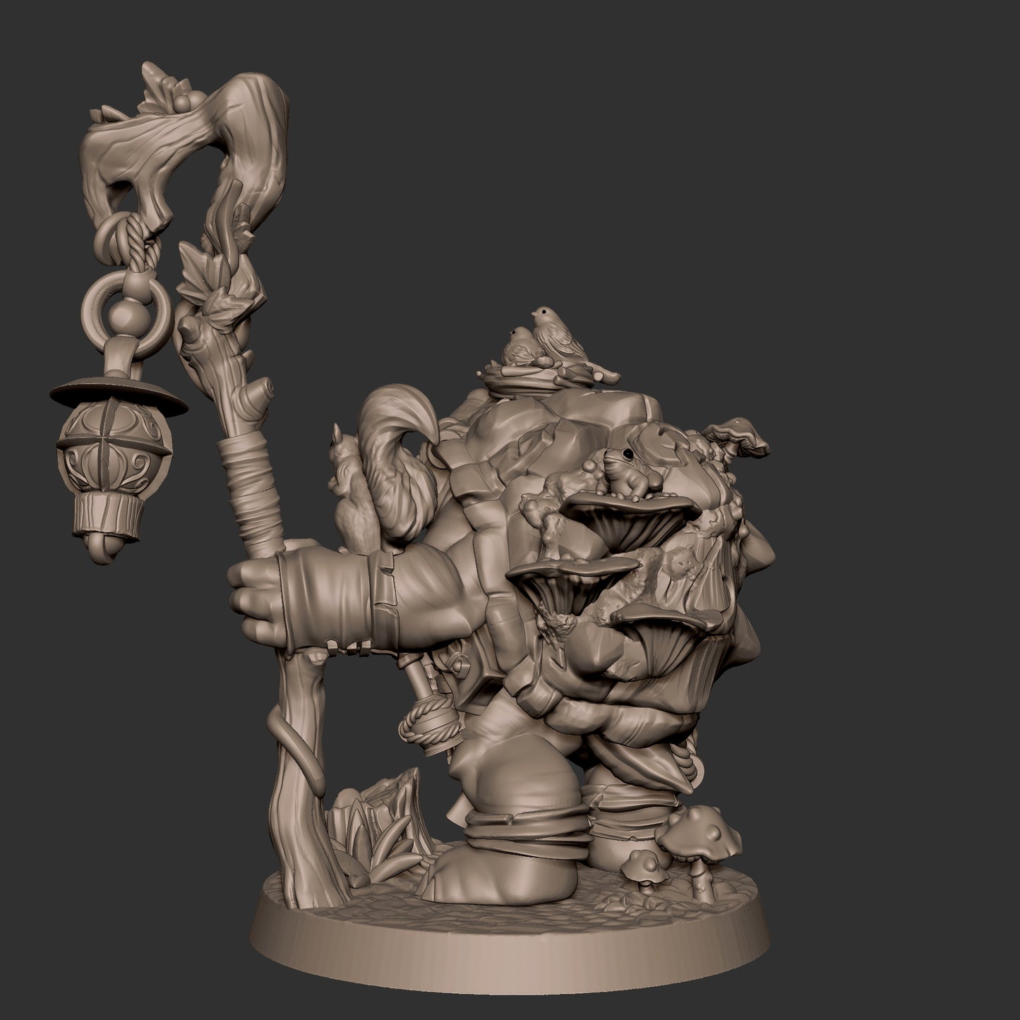 Tortle Druid