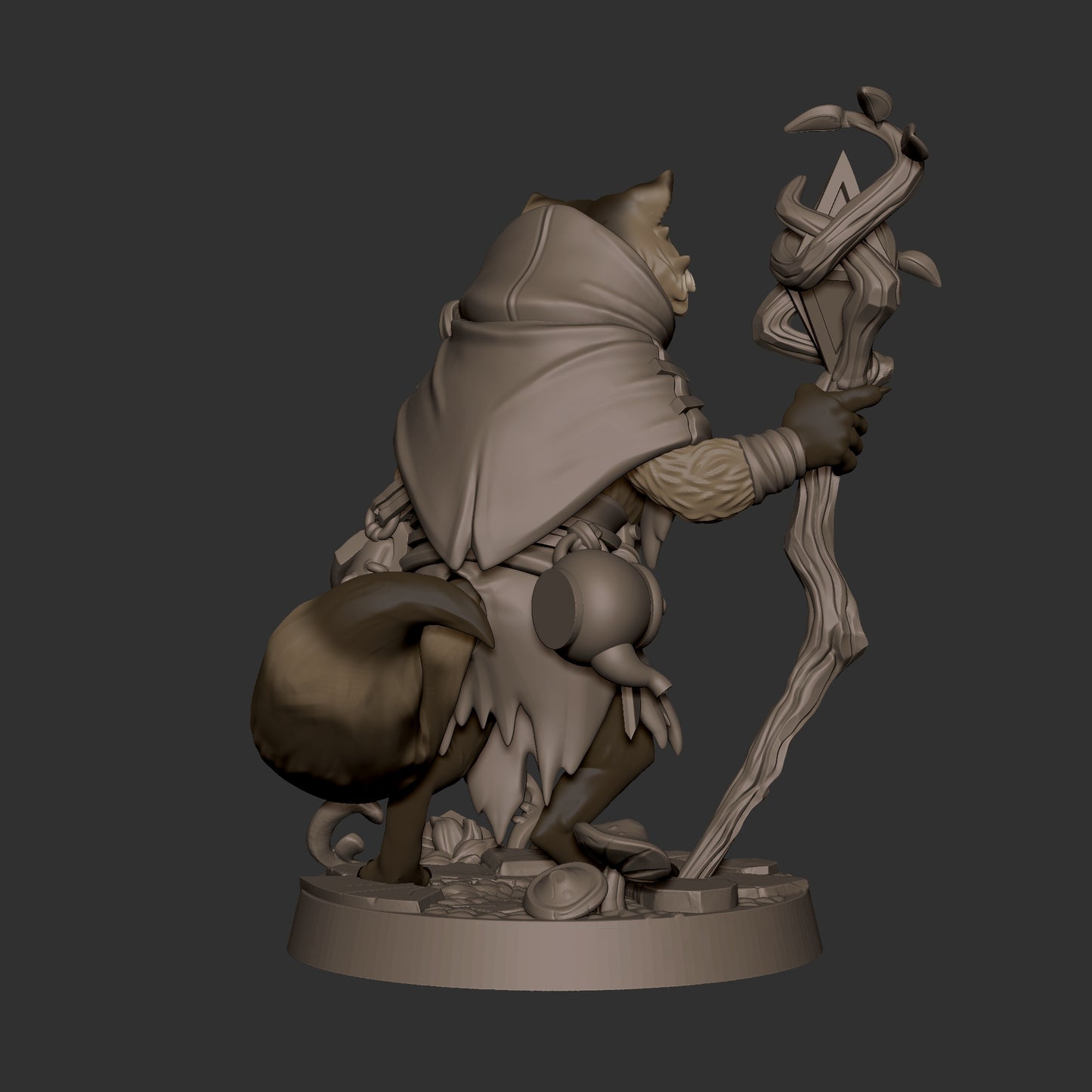 Raccoonfolk Druid
