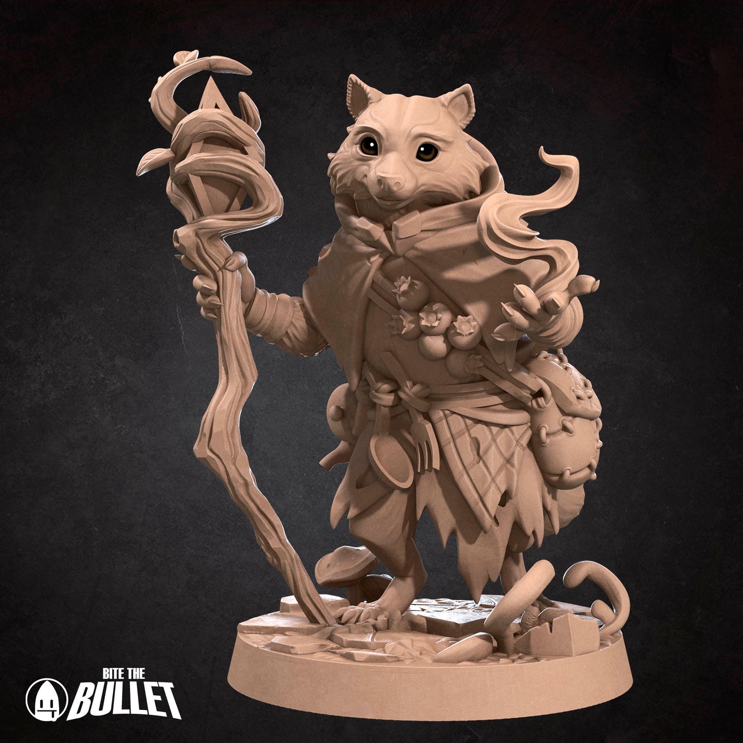 Raccoonfolk Druid