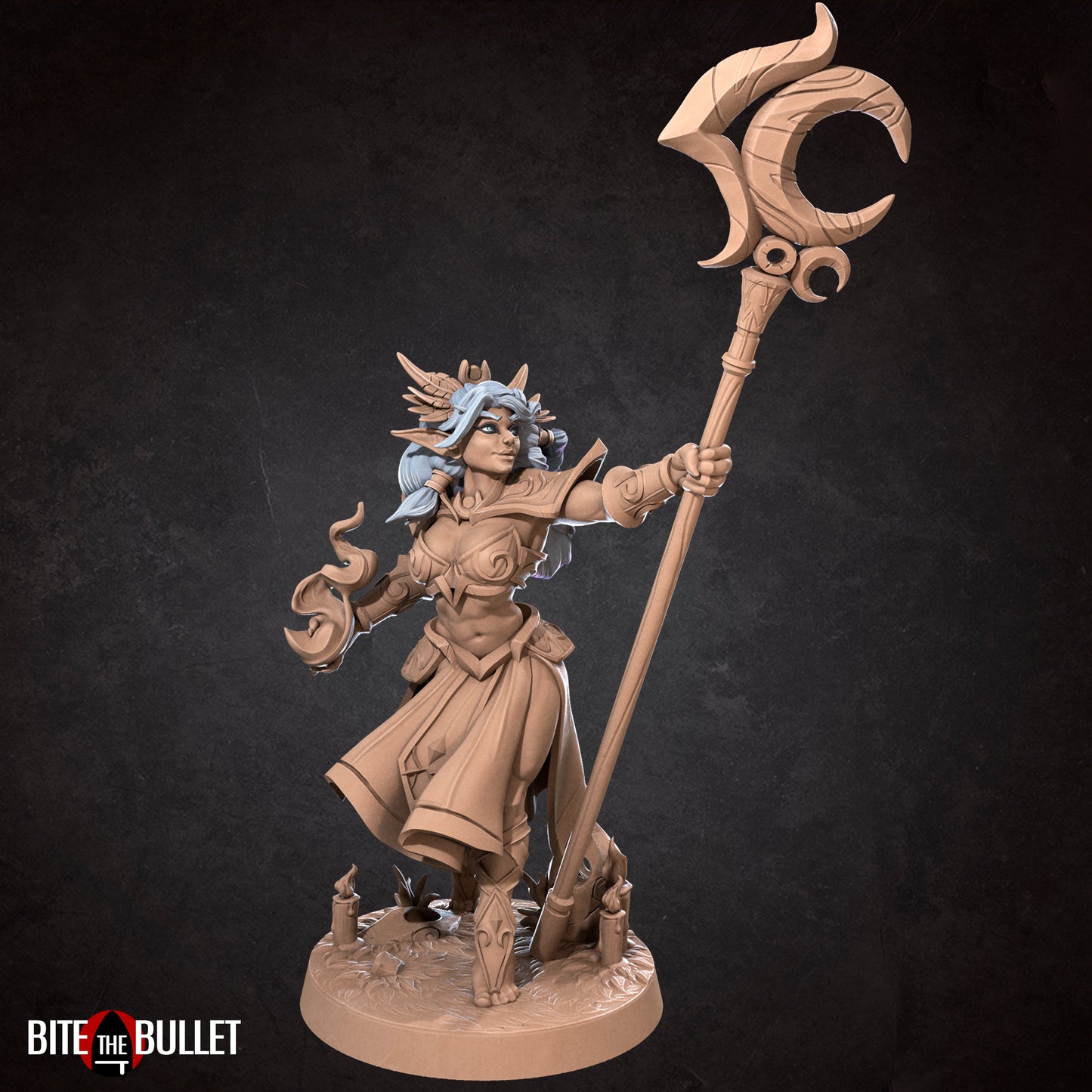 Sorceress Night Elf