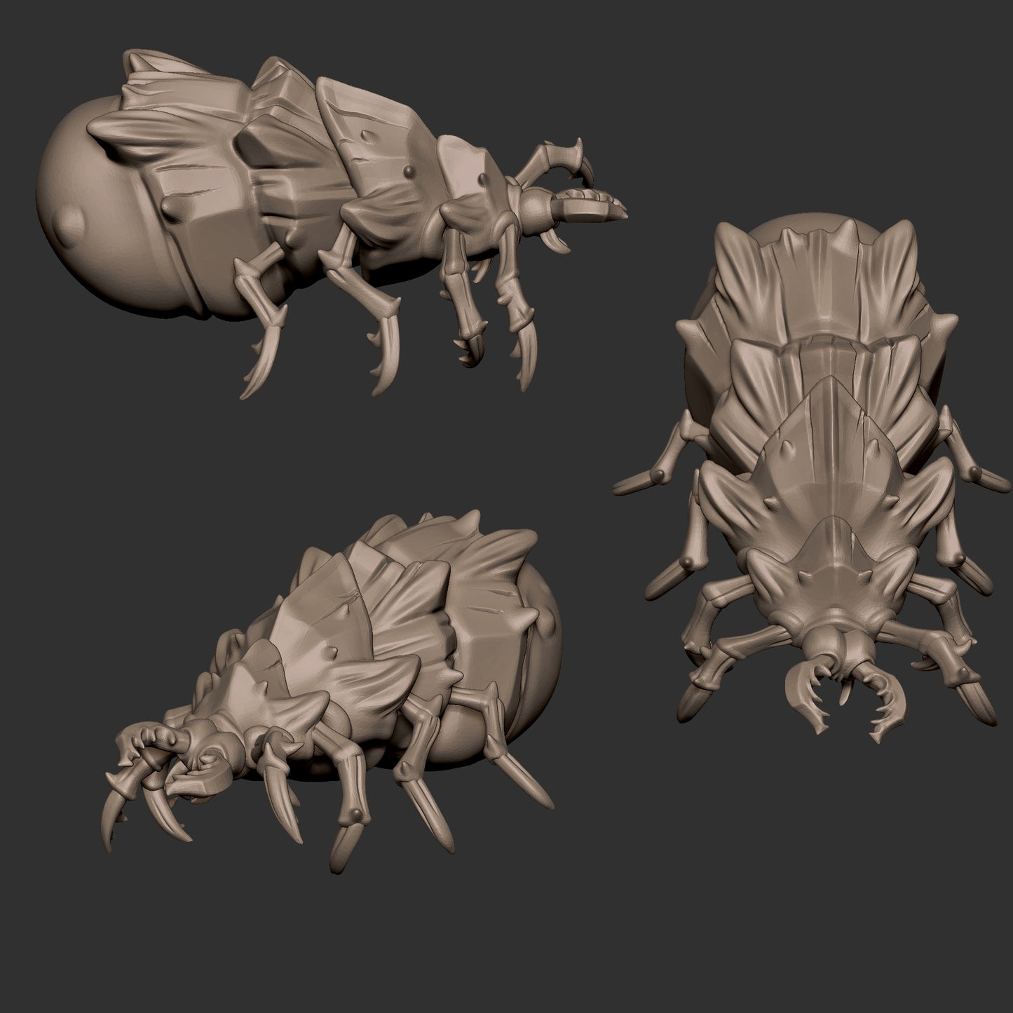 Sand Maggots