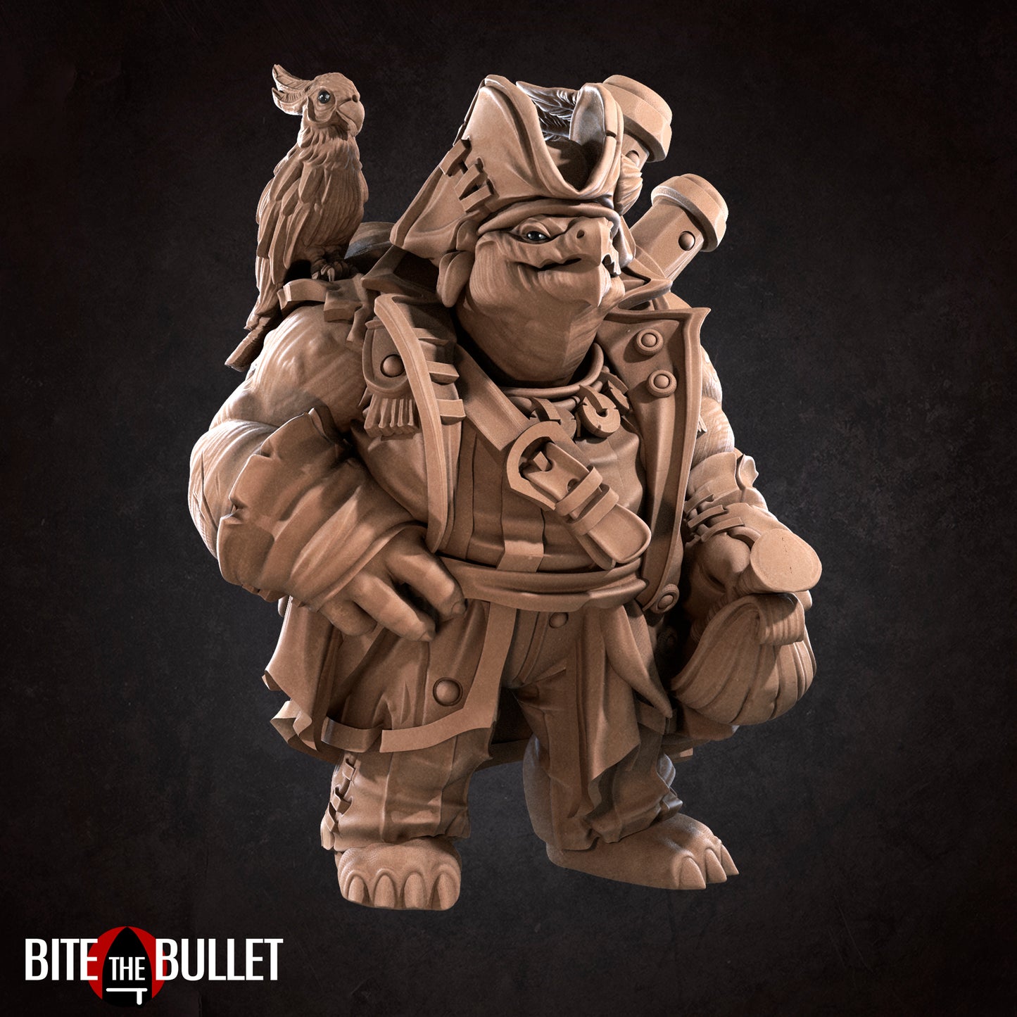 Tortle Pirate
