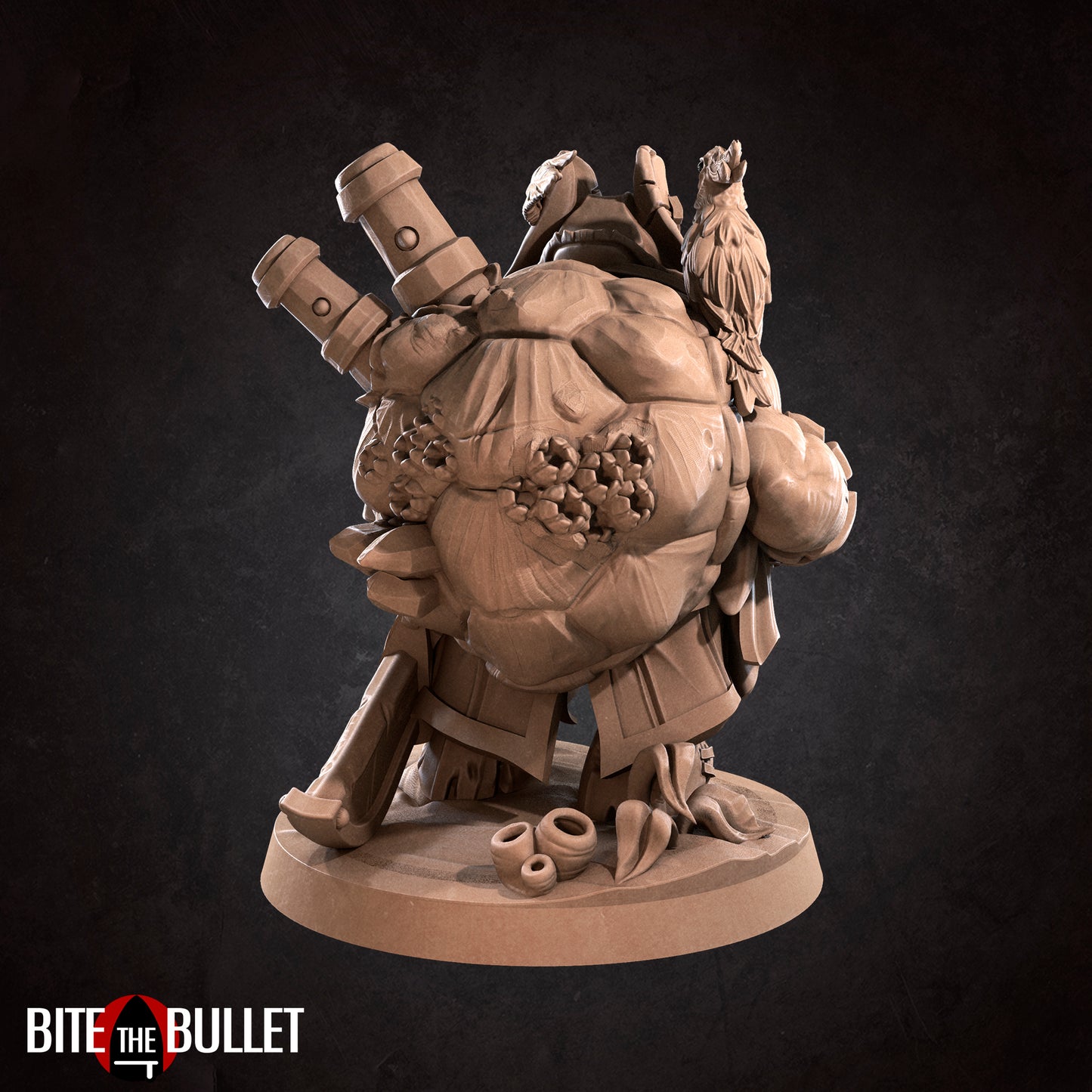 Tortle Pirate