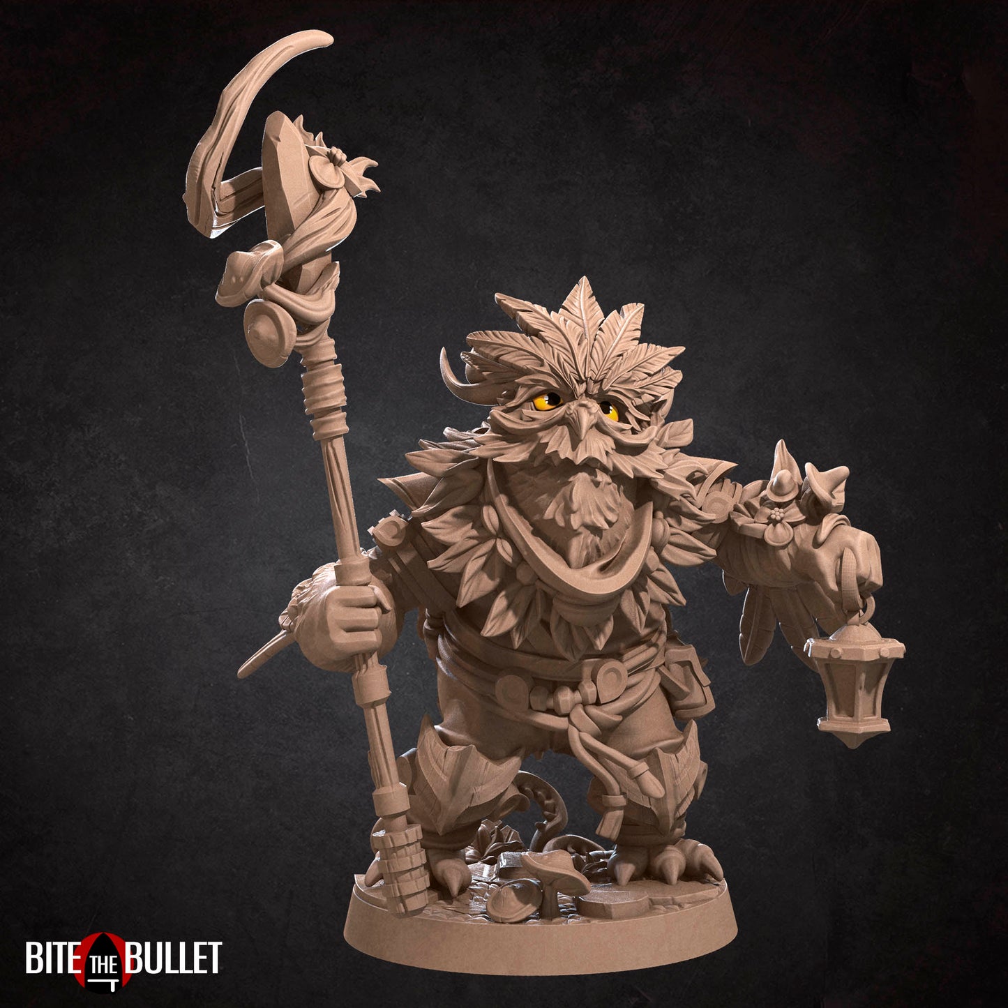 Owlfolk Druid