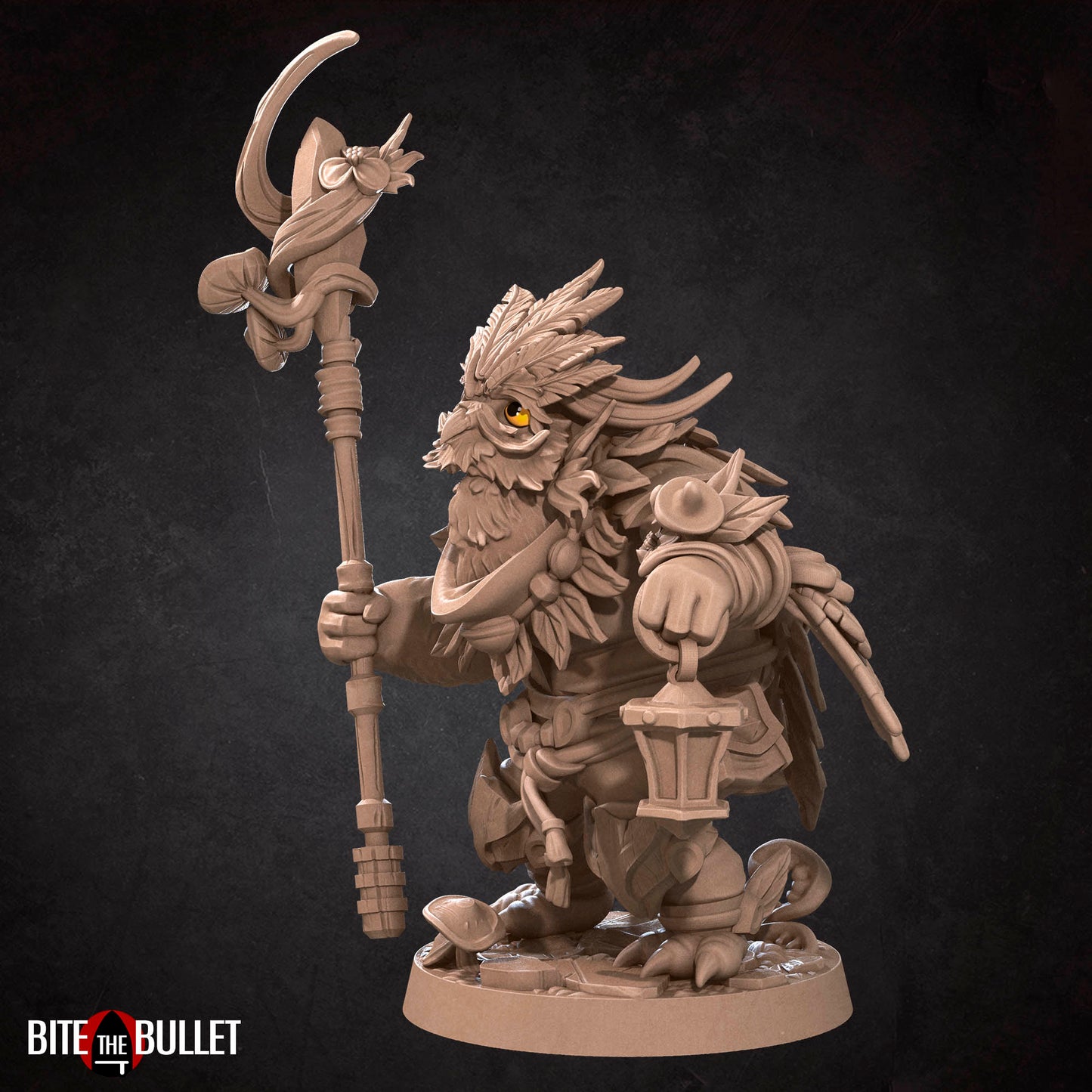 Owlfolk Druid
