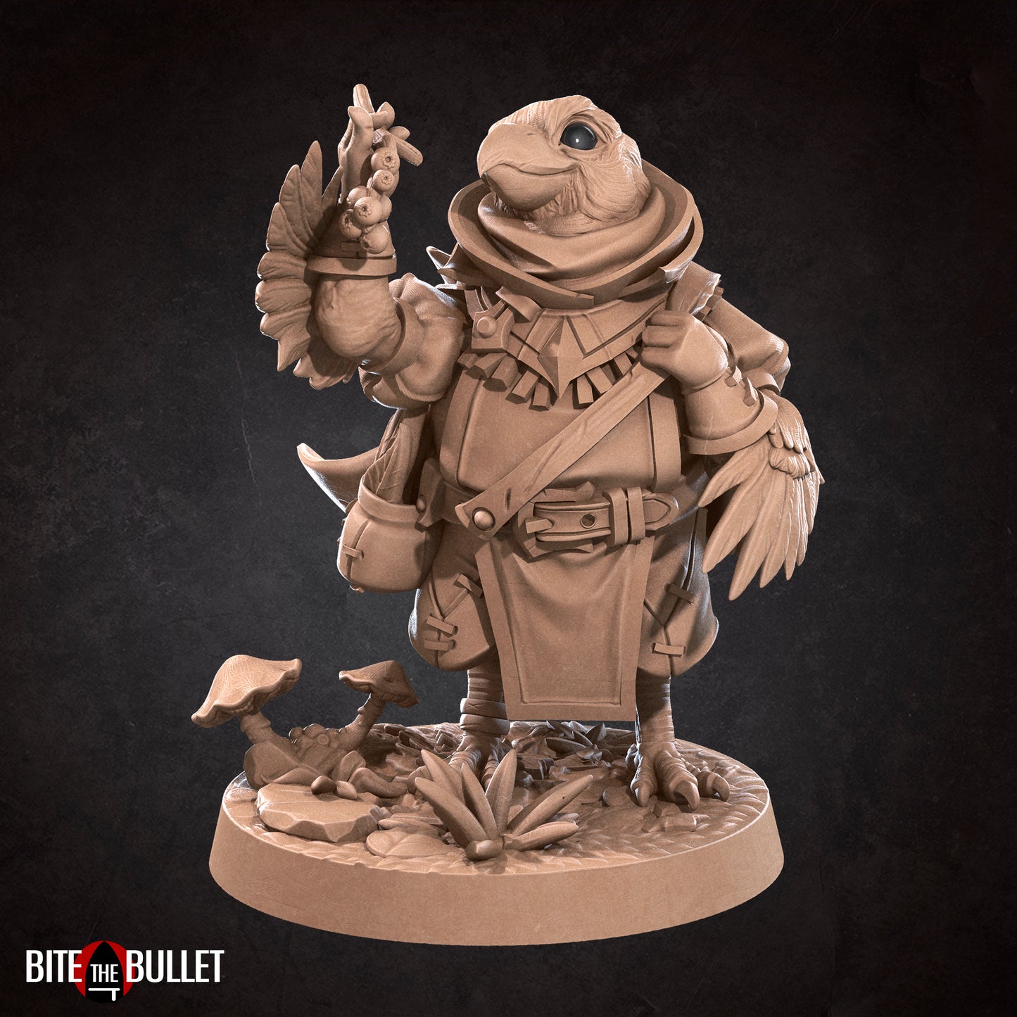 Berry, the Kenku Forager