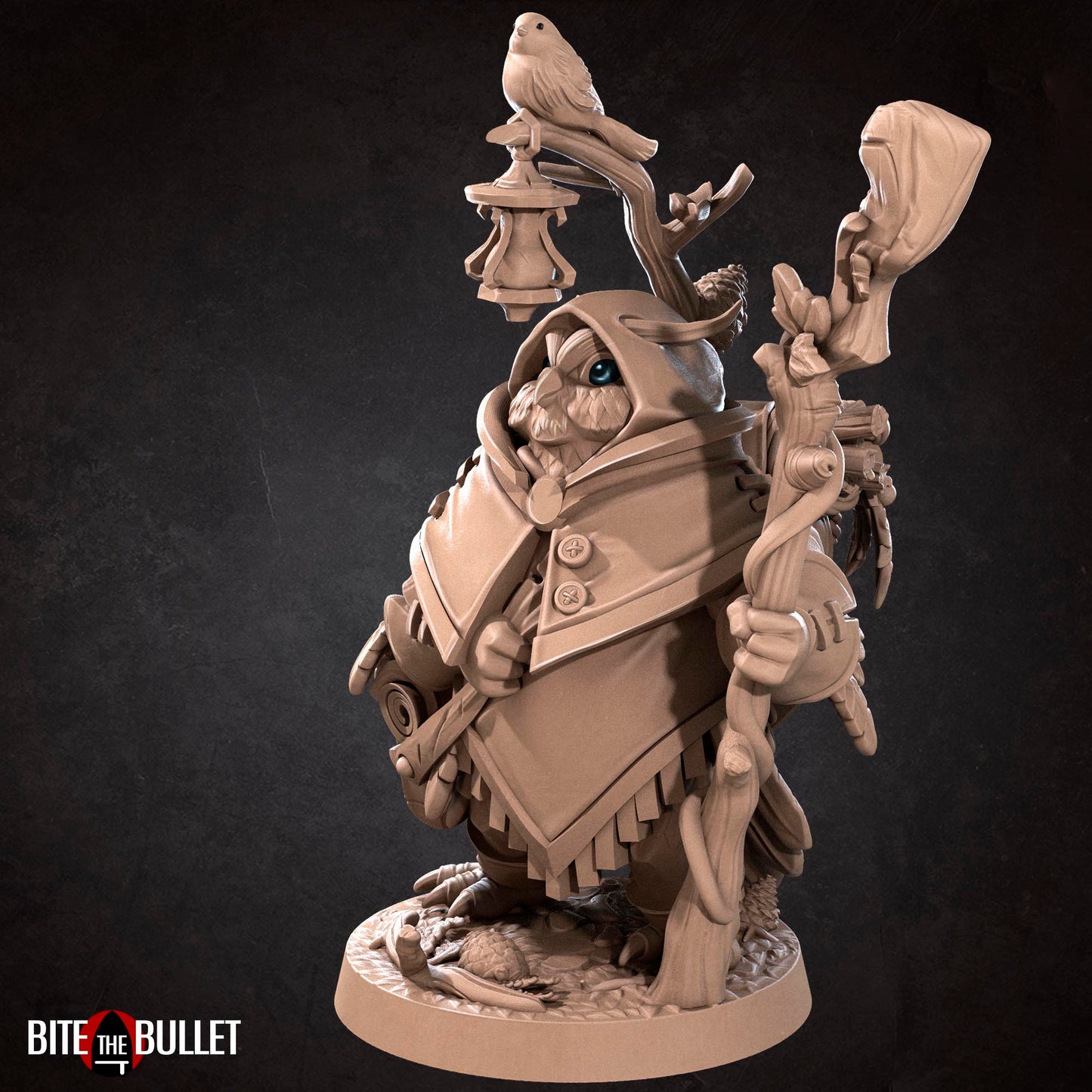 Owlfolk Druid
