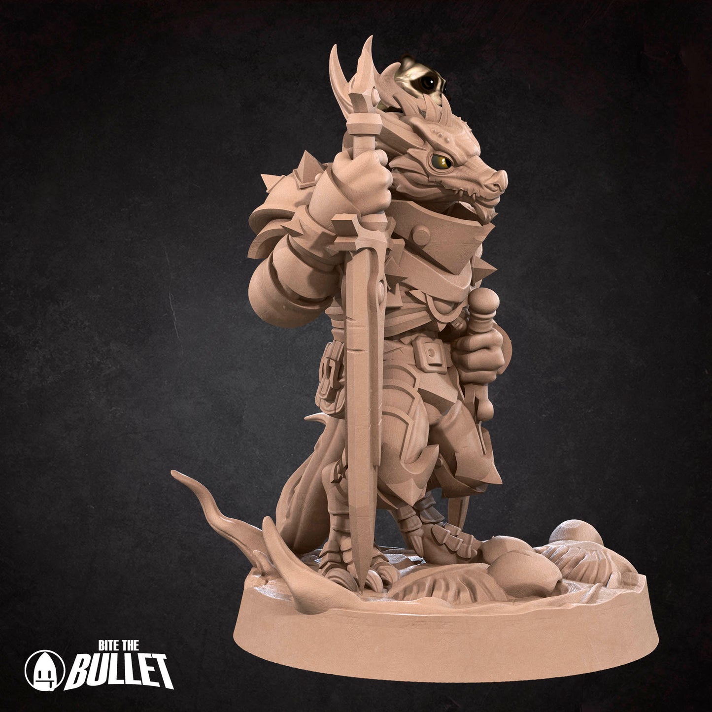 Kobold Paladin