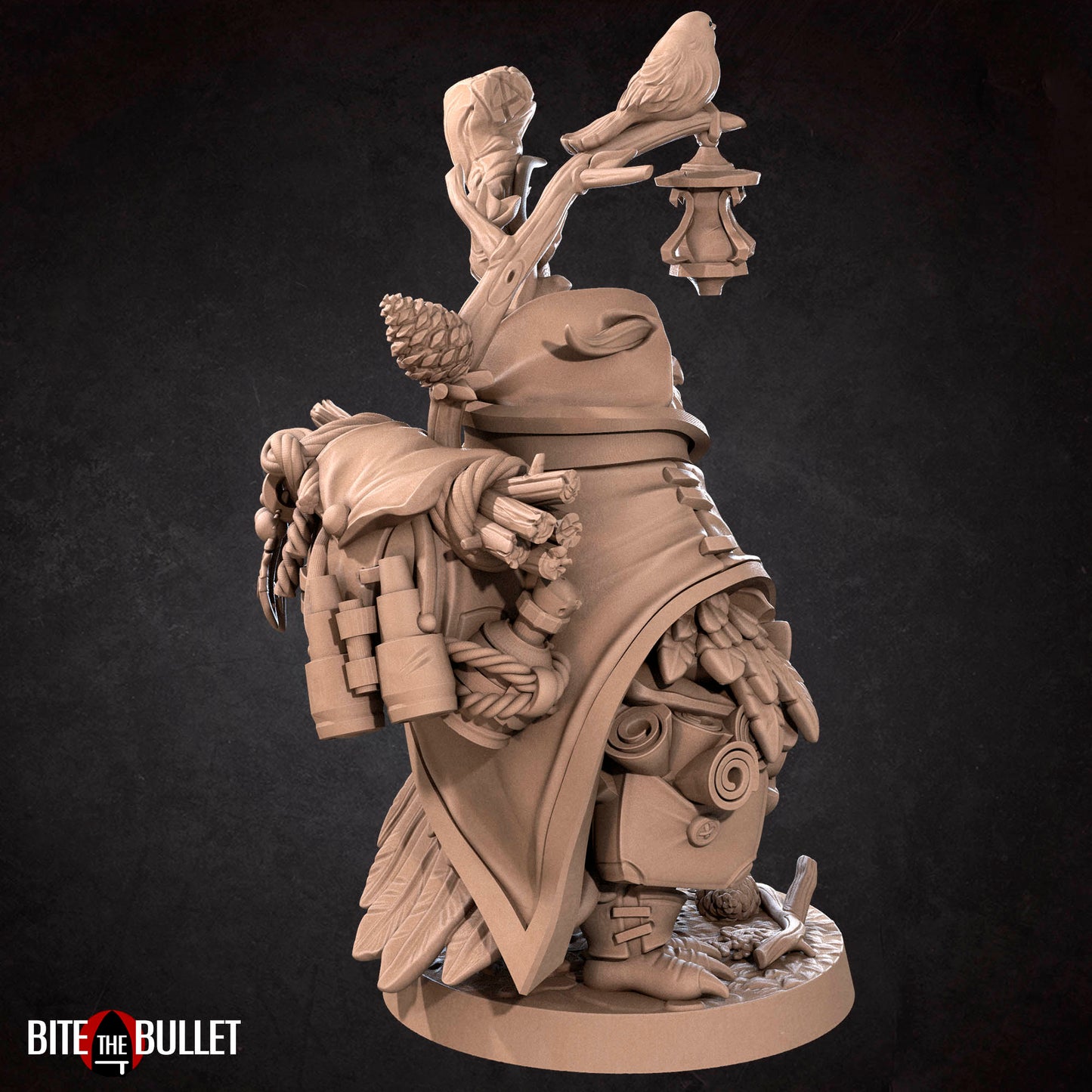 Owlfolk Druid