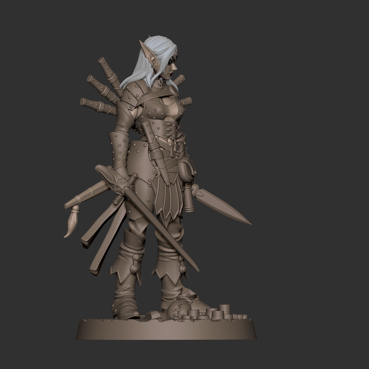 Elf Rogue