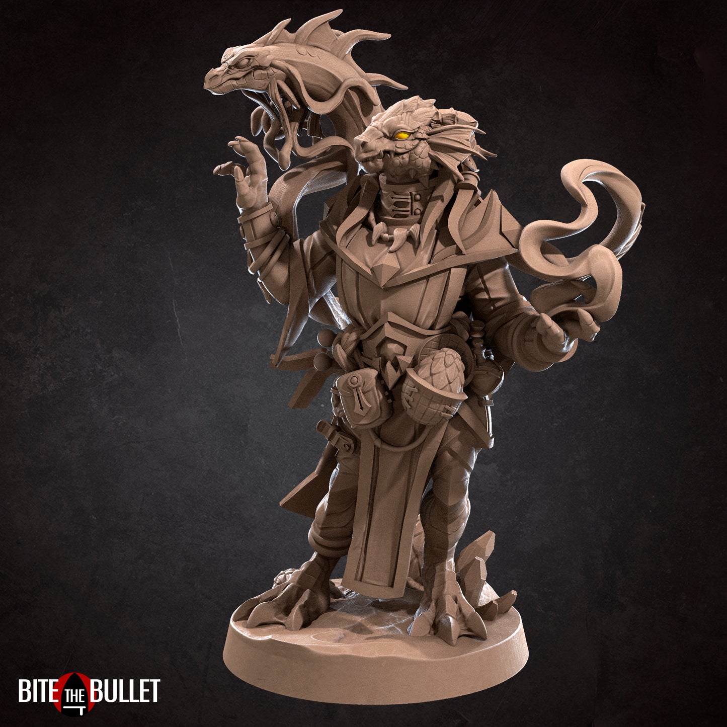 Dragonborn Wizard