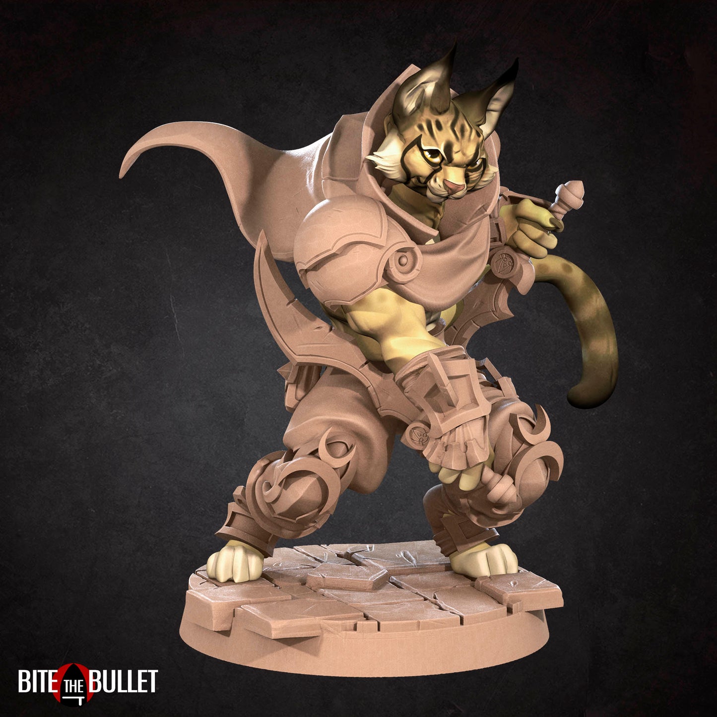 Tabaxi Rogue