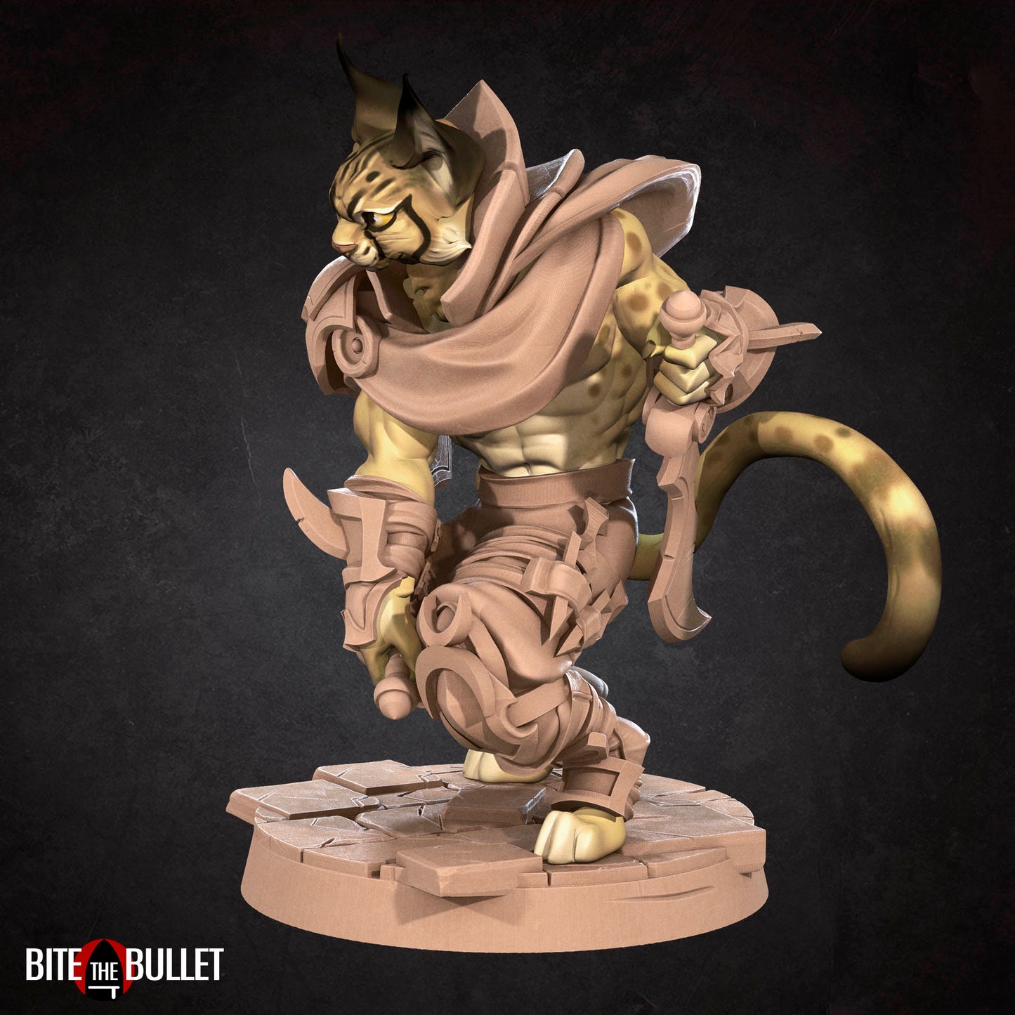Tabaxi Rogue