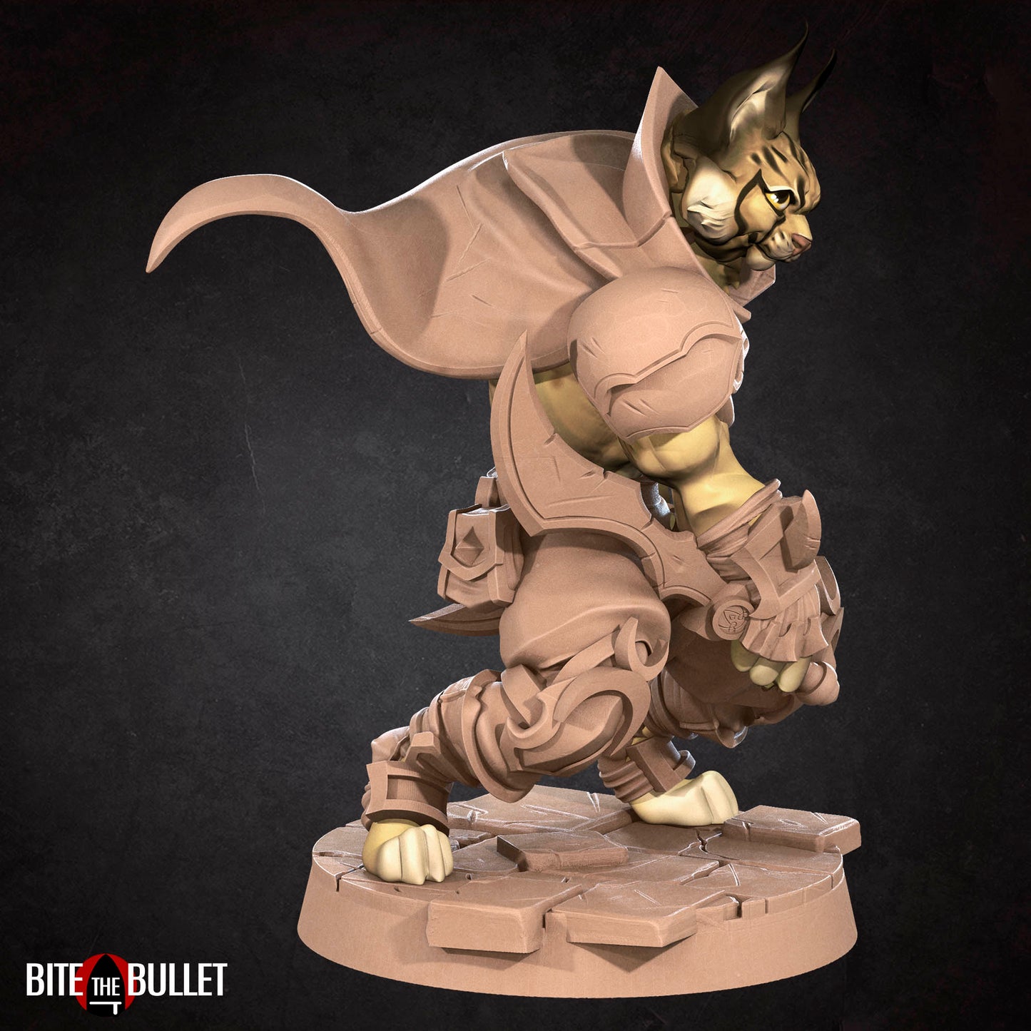 Tabaxi Rogue