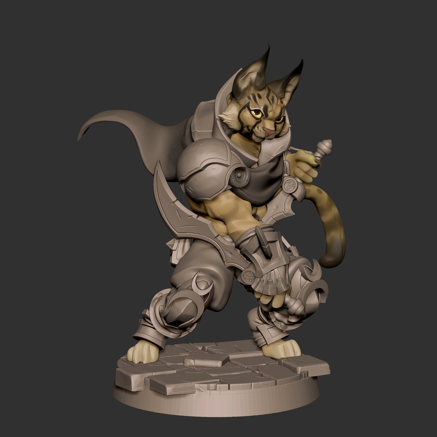 Tabaxi Rogue