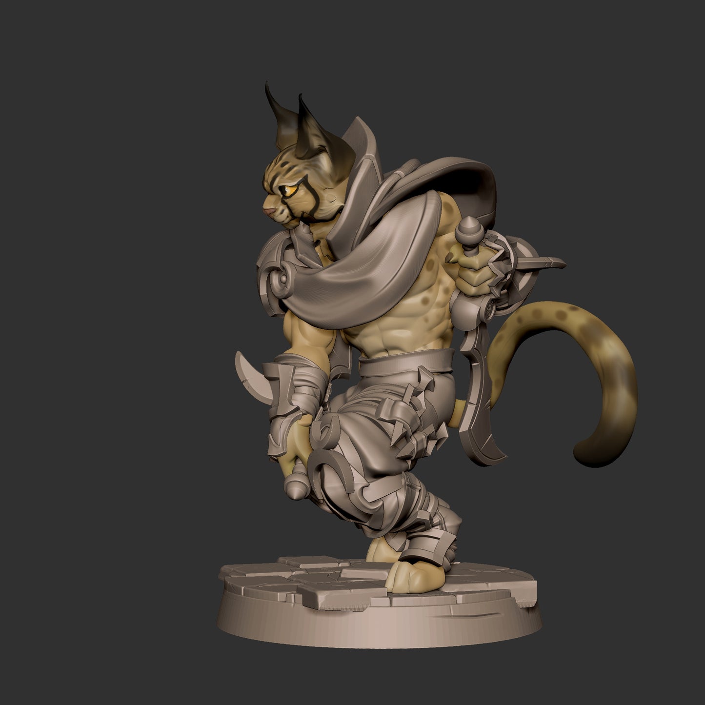 Tabaxi Rogue