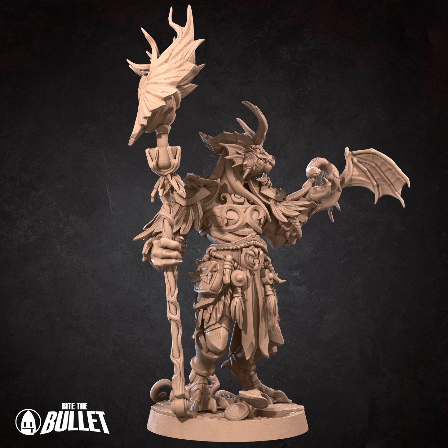 Dragonborn Druid