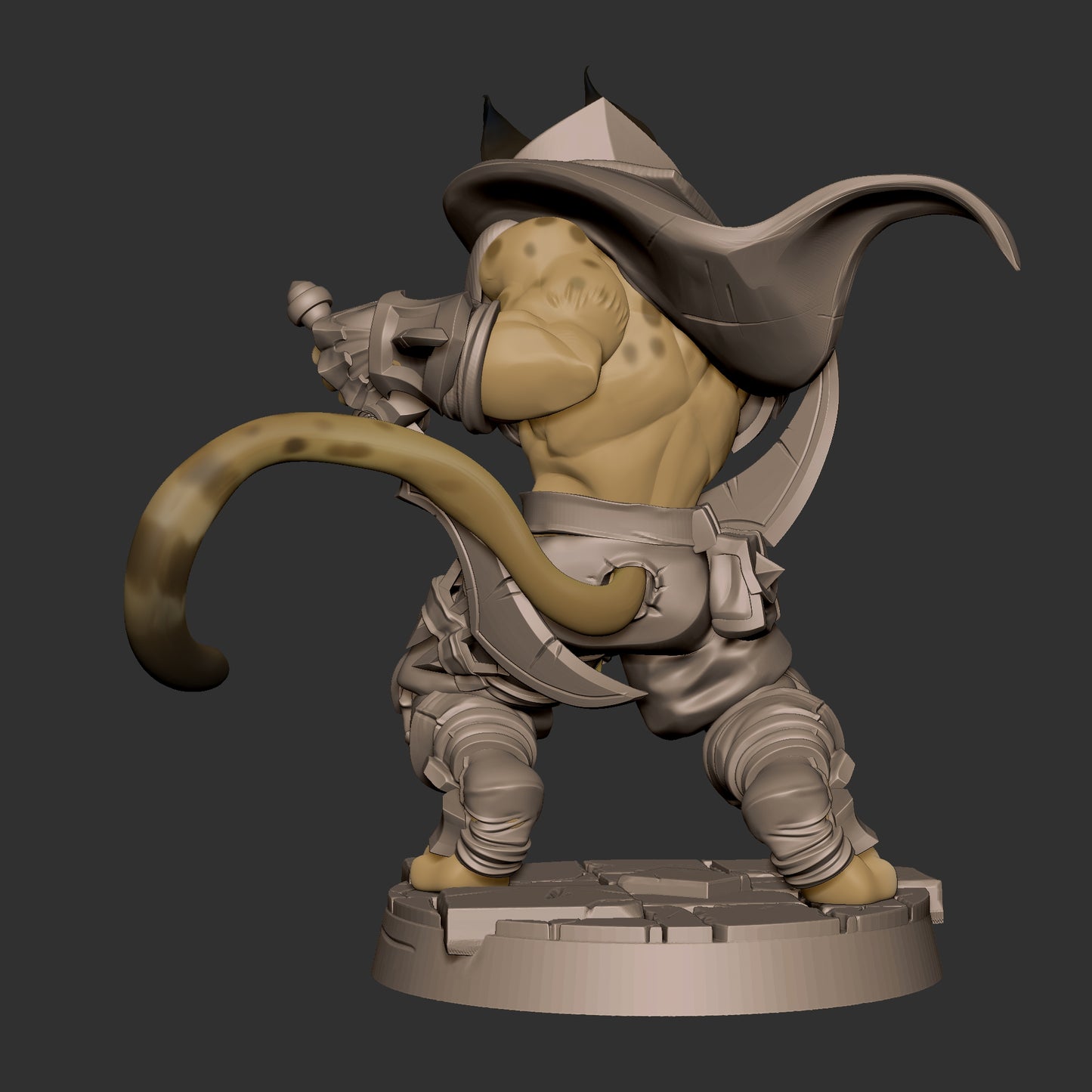 Tabaxi Rogue