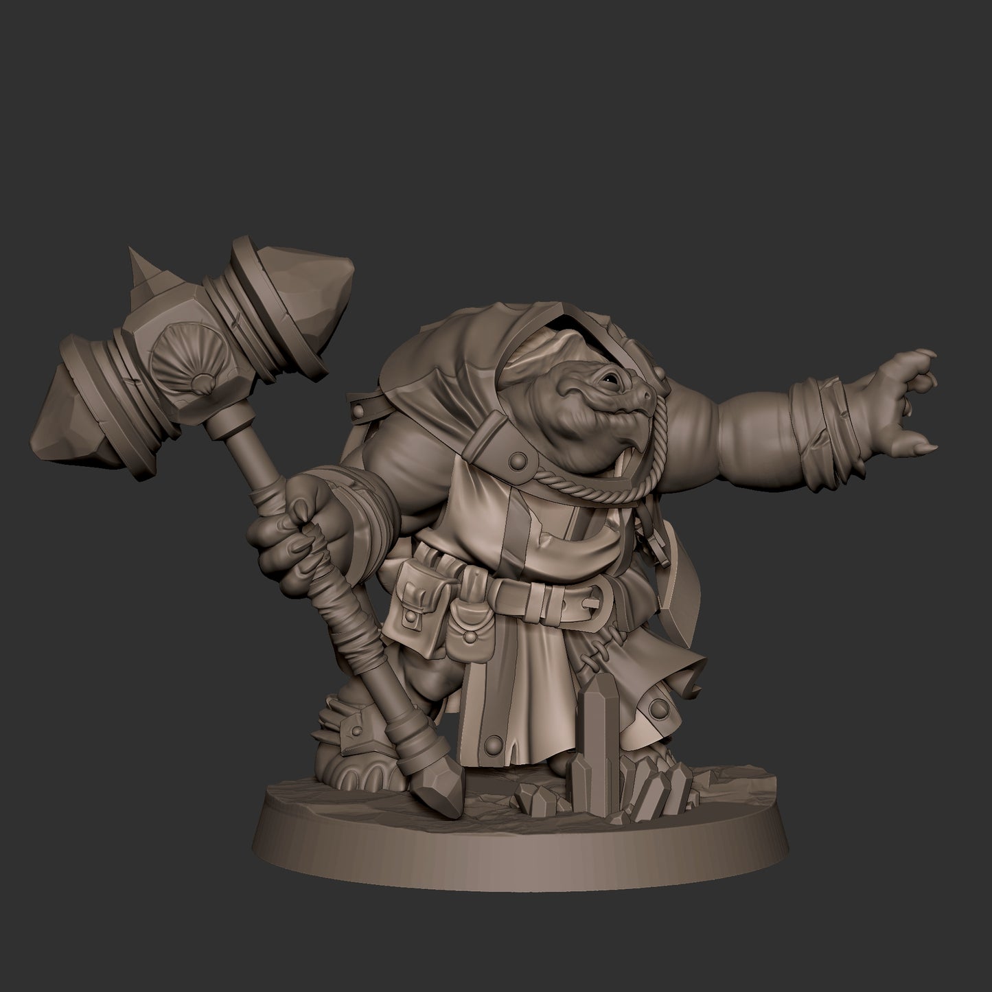 Tortle Cleric