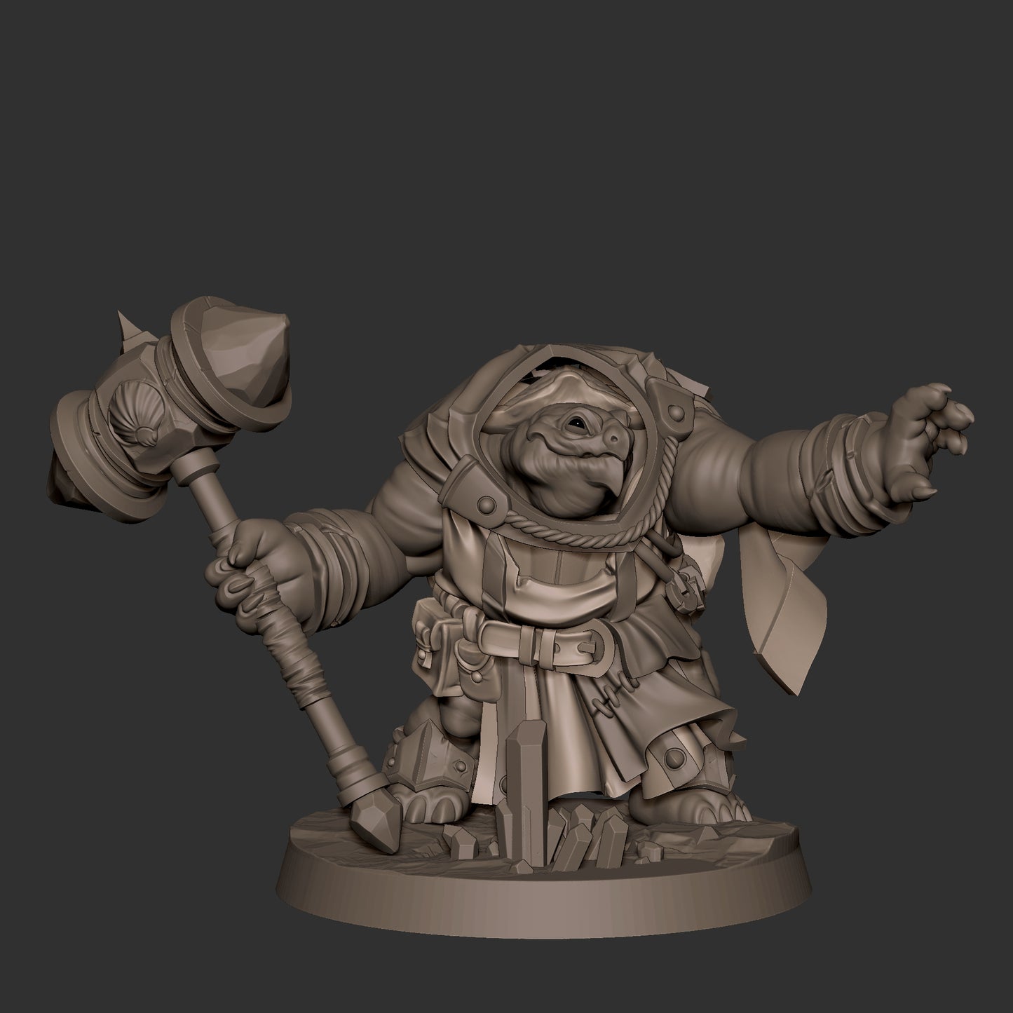Tortle Cleric