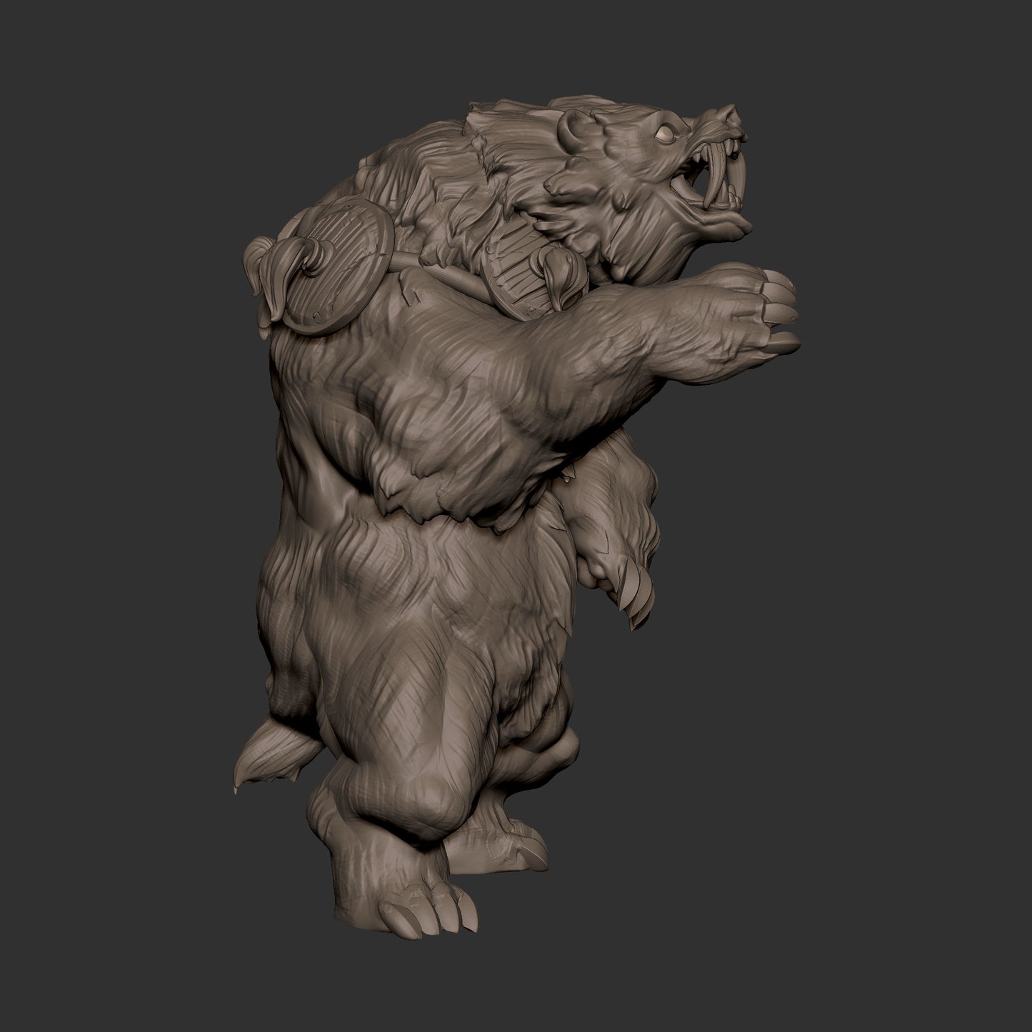 Bear