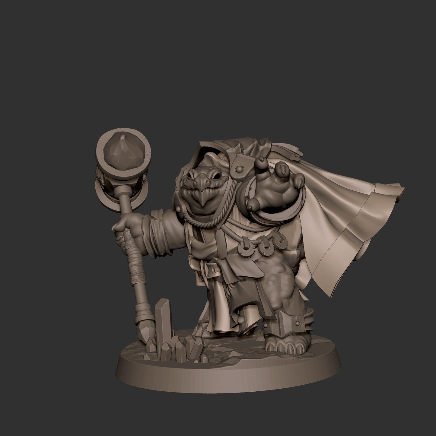 Tortle Cleric
