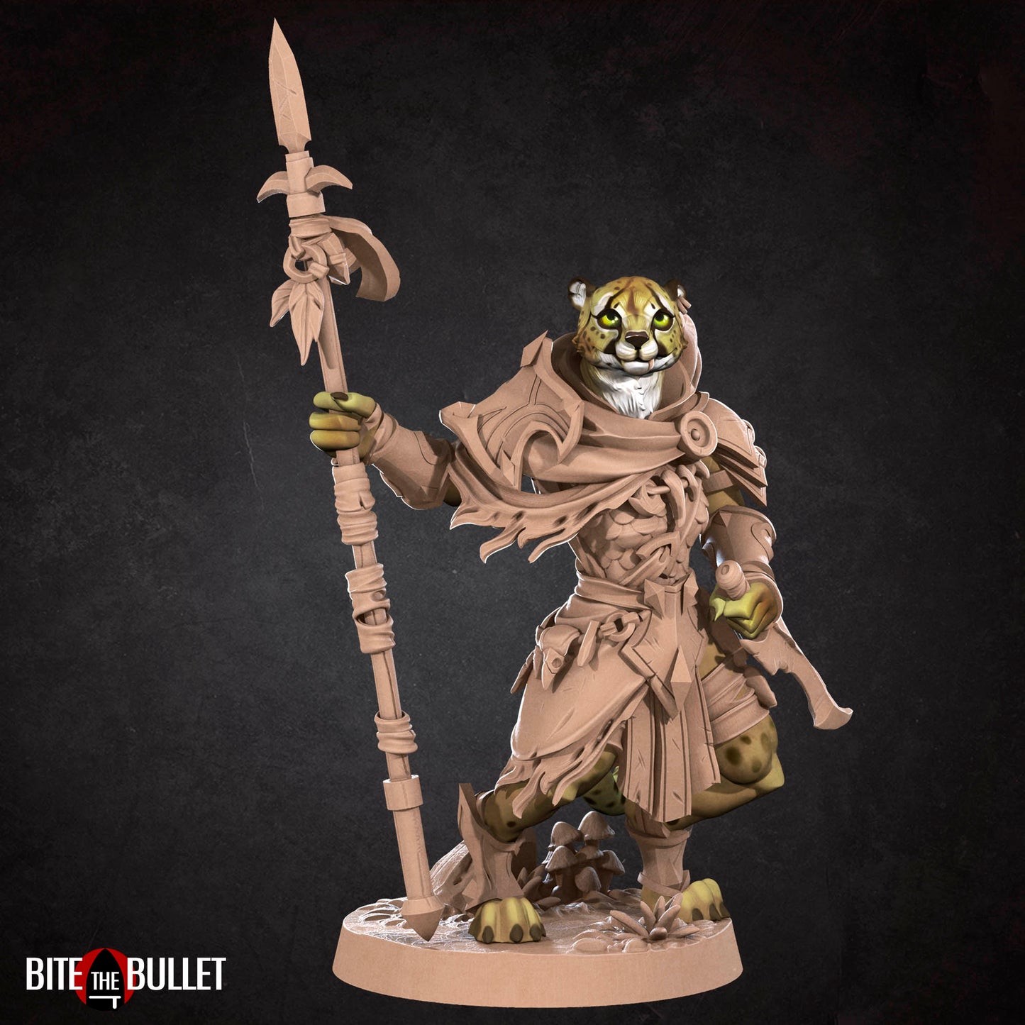 Tabaxi Ranger
