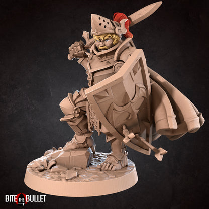 Halfling Paladin