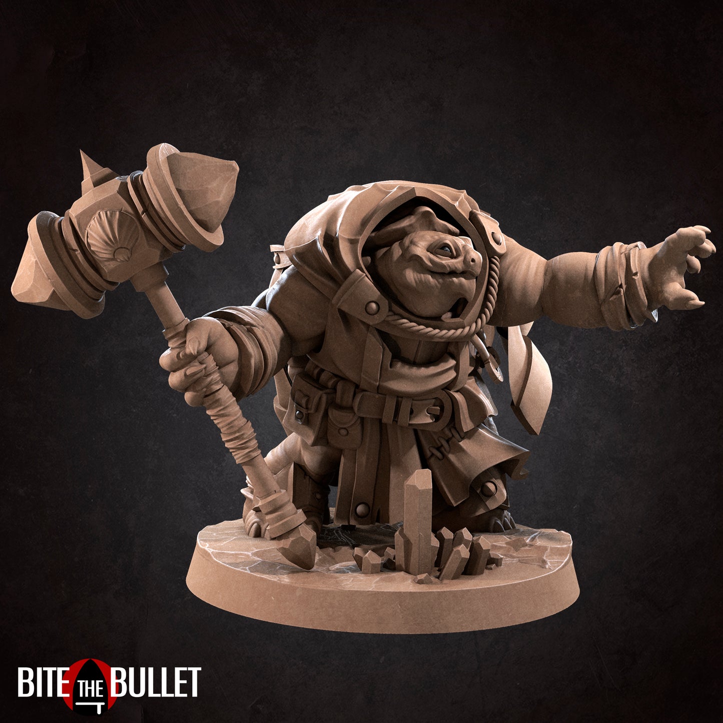 Tortle Cleric