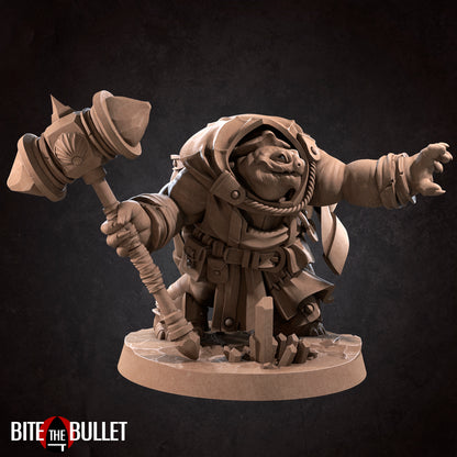 Tortle Cleric