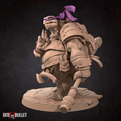 Ninja Tortles Pack