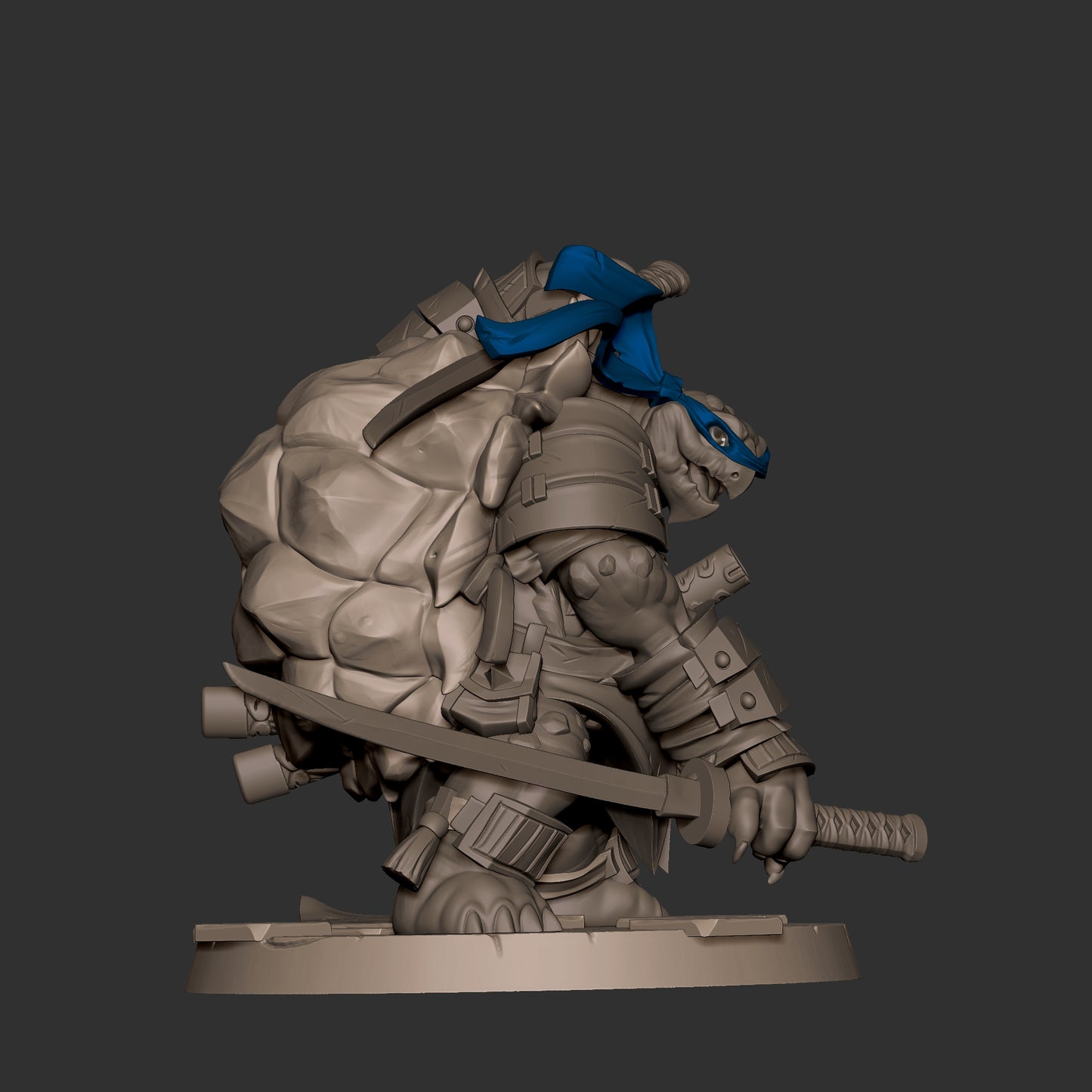 Ninja Tortles Pack