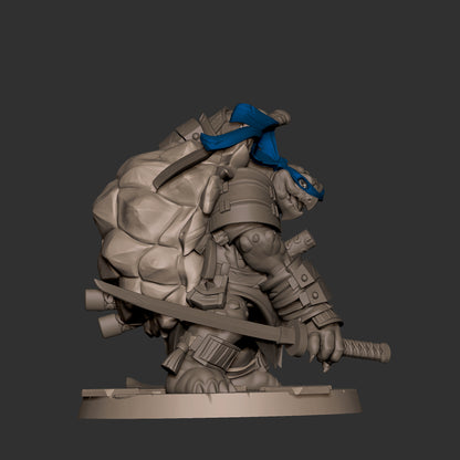 Ninja Tortles Pack