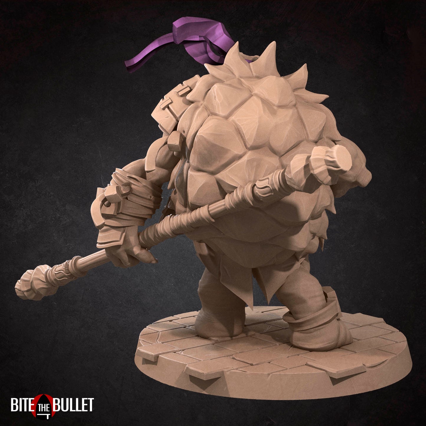 Ninja Tortles Pack