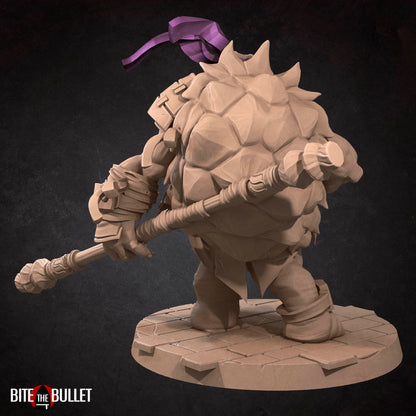Ninja Tortles Pack