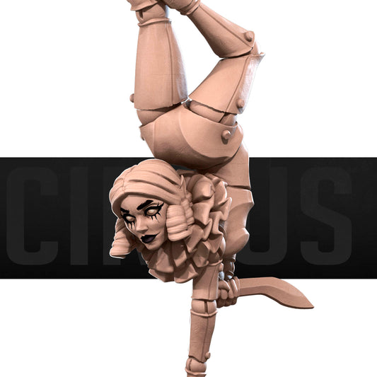 Spider Trainer Contortionist